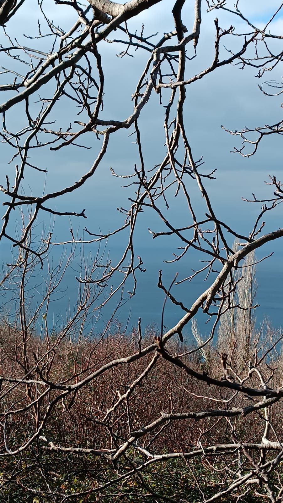 Urbanizovano zemljiste za prodaju 520m² sa pogledom na more, Blizikuće, Budva - Amfora Real Estate