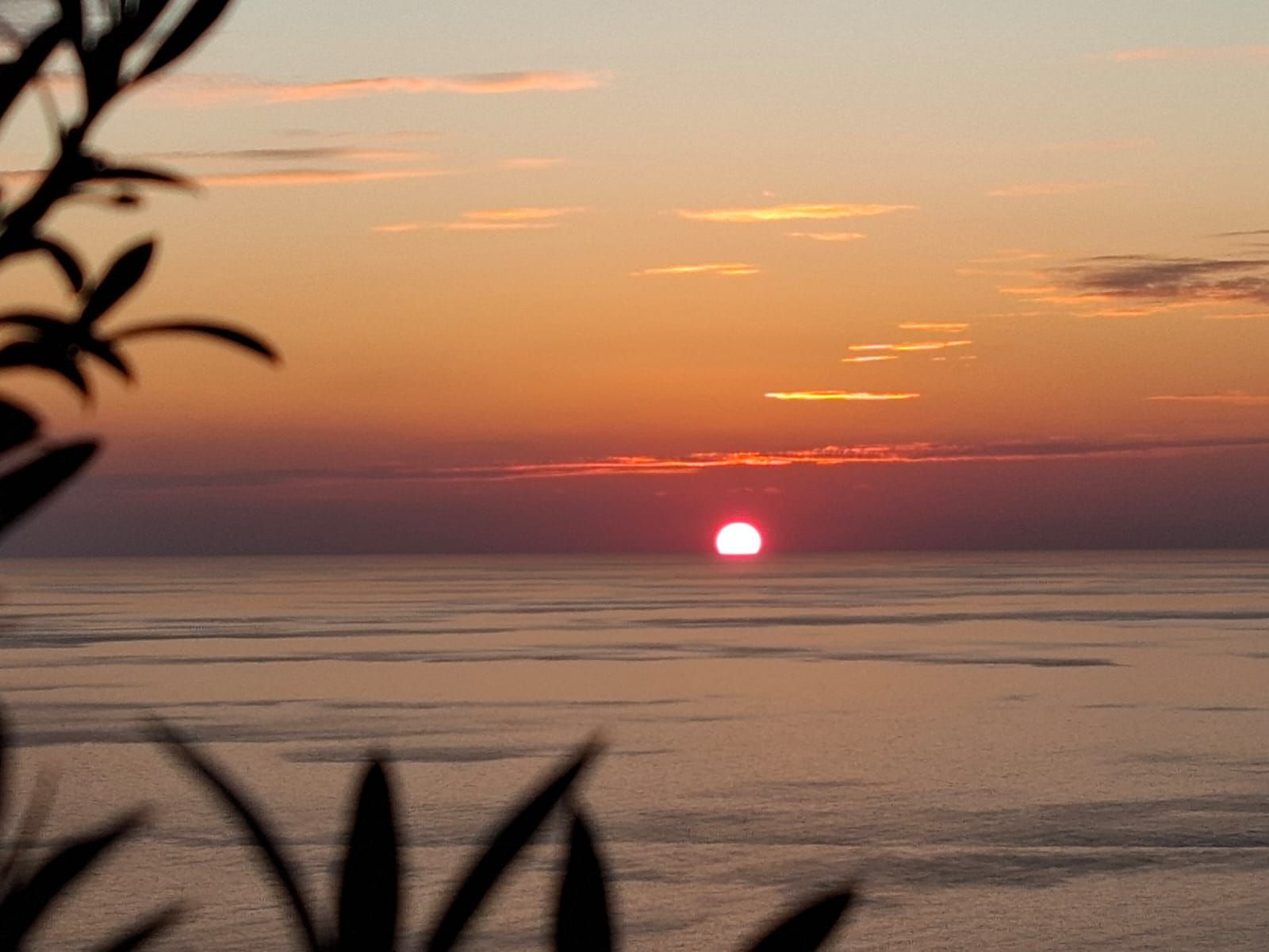 Autentična kamena vila sa panoramskim pogledom na more – Reževići Katun, Budvanska rivijera - Amfora Real Estate