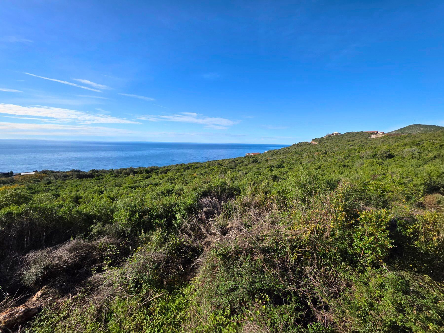 Na prodaju zemljiste sa panoramskim pogledom na more – Krimovica, opština Kotor, 1000m² - Amfora Real Estate