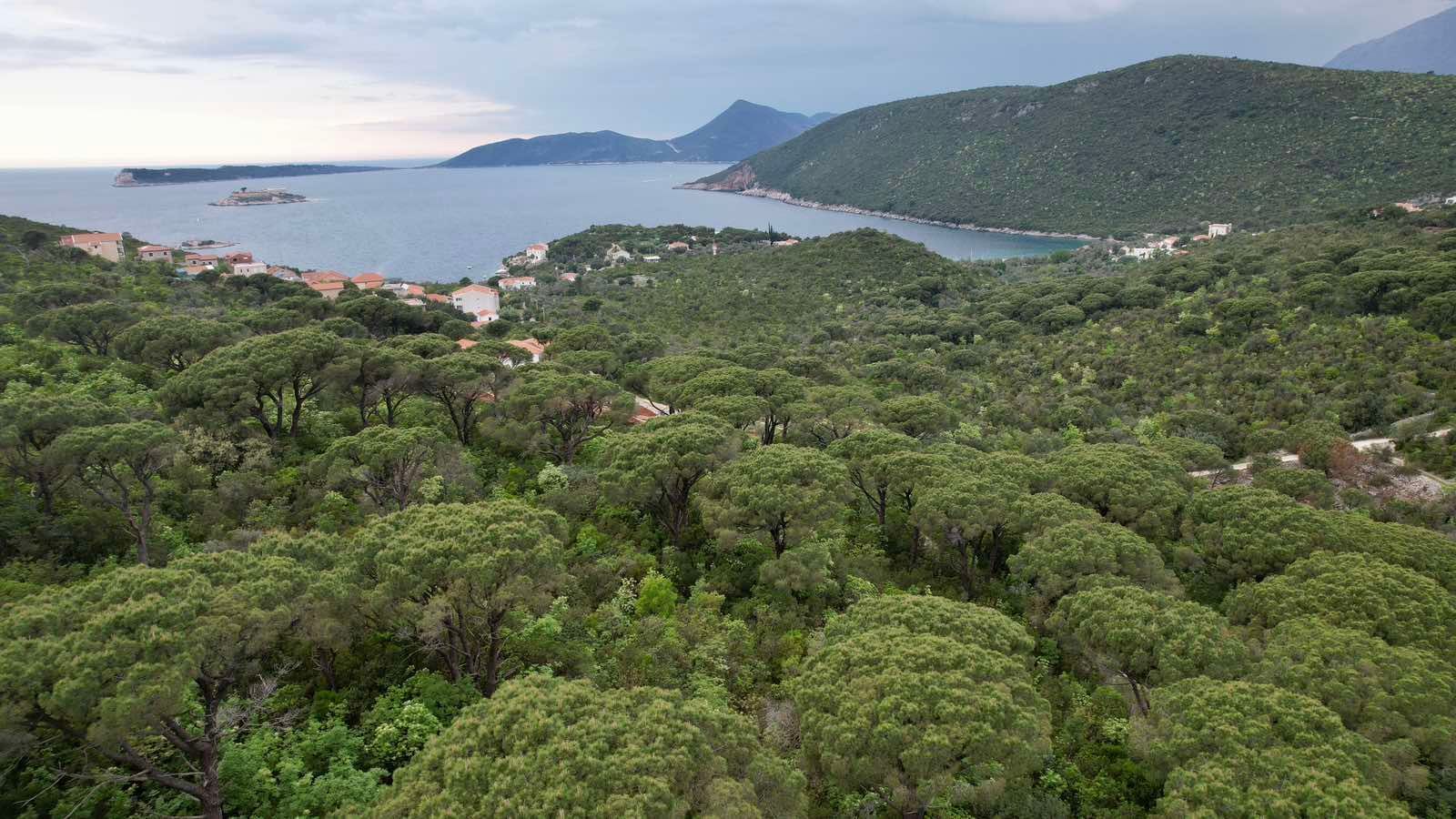 Plac 5218m2 sa panoramskim pogledom na more u naselju Mirište (Žanjice), Opstina Herceg Novi - Amfora Real Estate