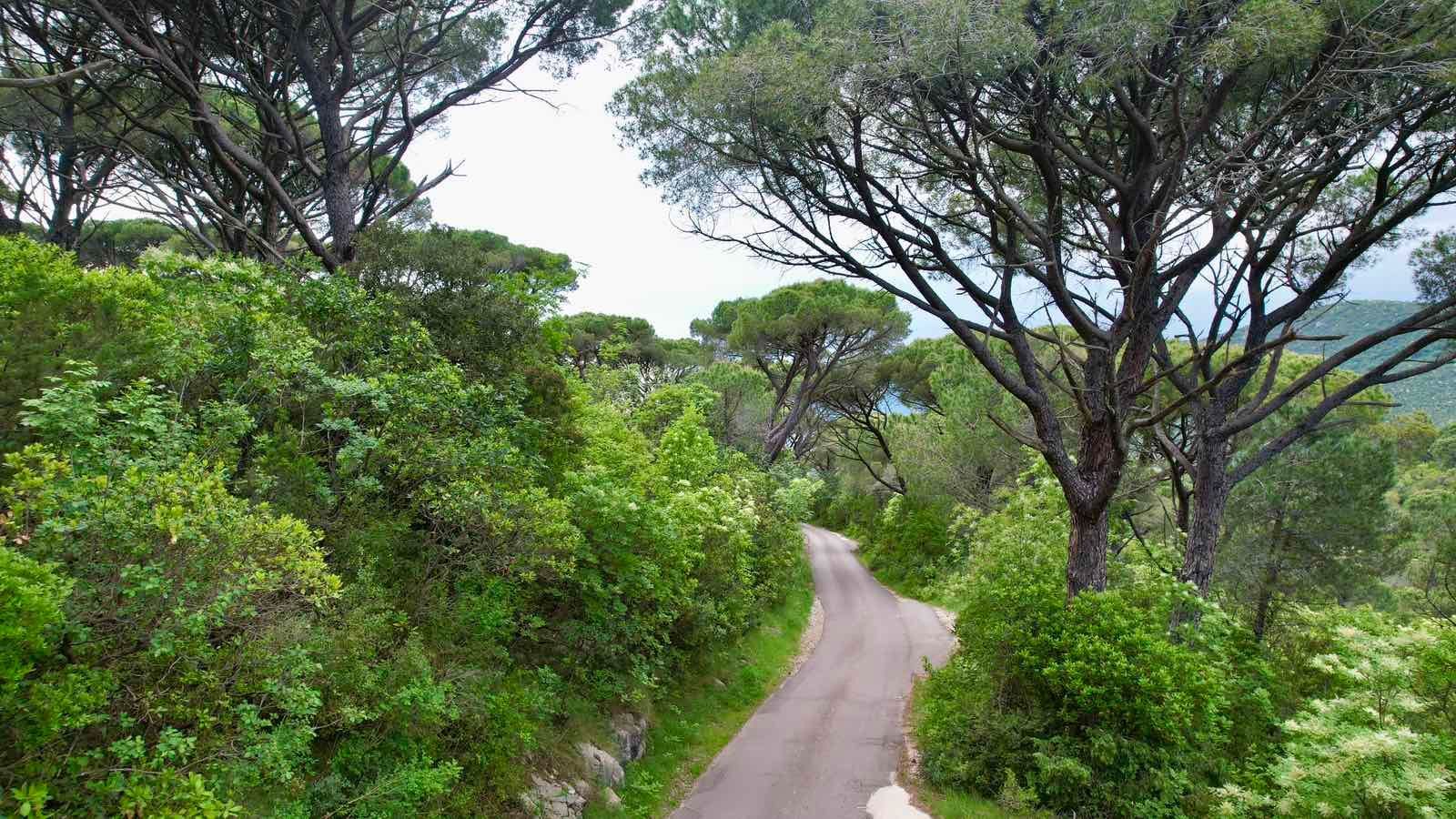 Plac 5218m2 sa panoramskim pogledom na more u naselju Mirište (Žanjice), Opstina Herceg Novi - Amfora Real Estate