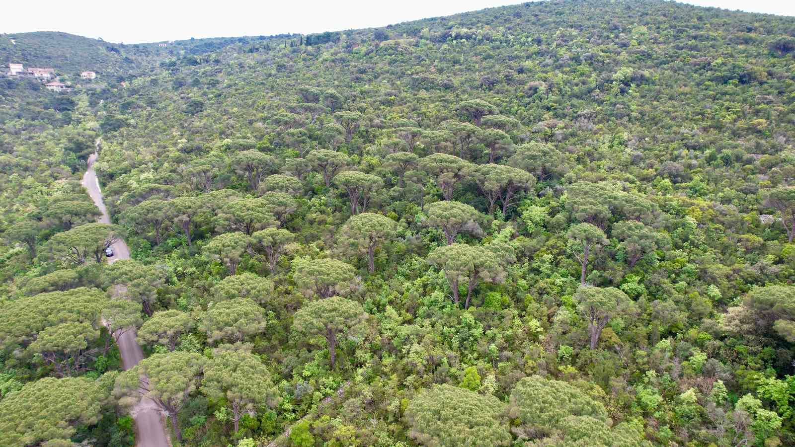 Plac 5218m2 sa panoramskim pogledom na more u naselju Mirište (Žanjice), Opstina Herceg Novi - Amfora Real Estate