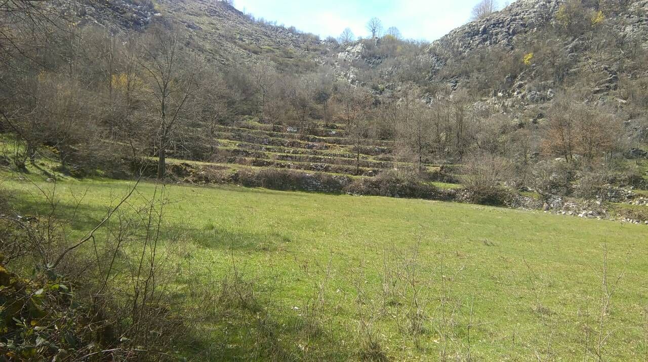 PORODIČNO IMANJE ŠTITARI - OPSTINA CETINJE - CRNA GORA - Amfora Real Estate