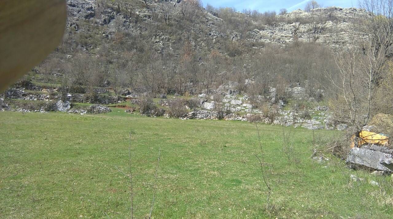 PORODIČNO IMANJE ŠTITARI - OPSTINA CETINJE - CRNA GORA - Amfora Real Estate