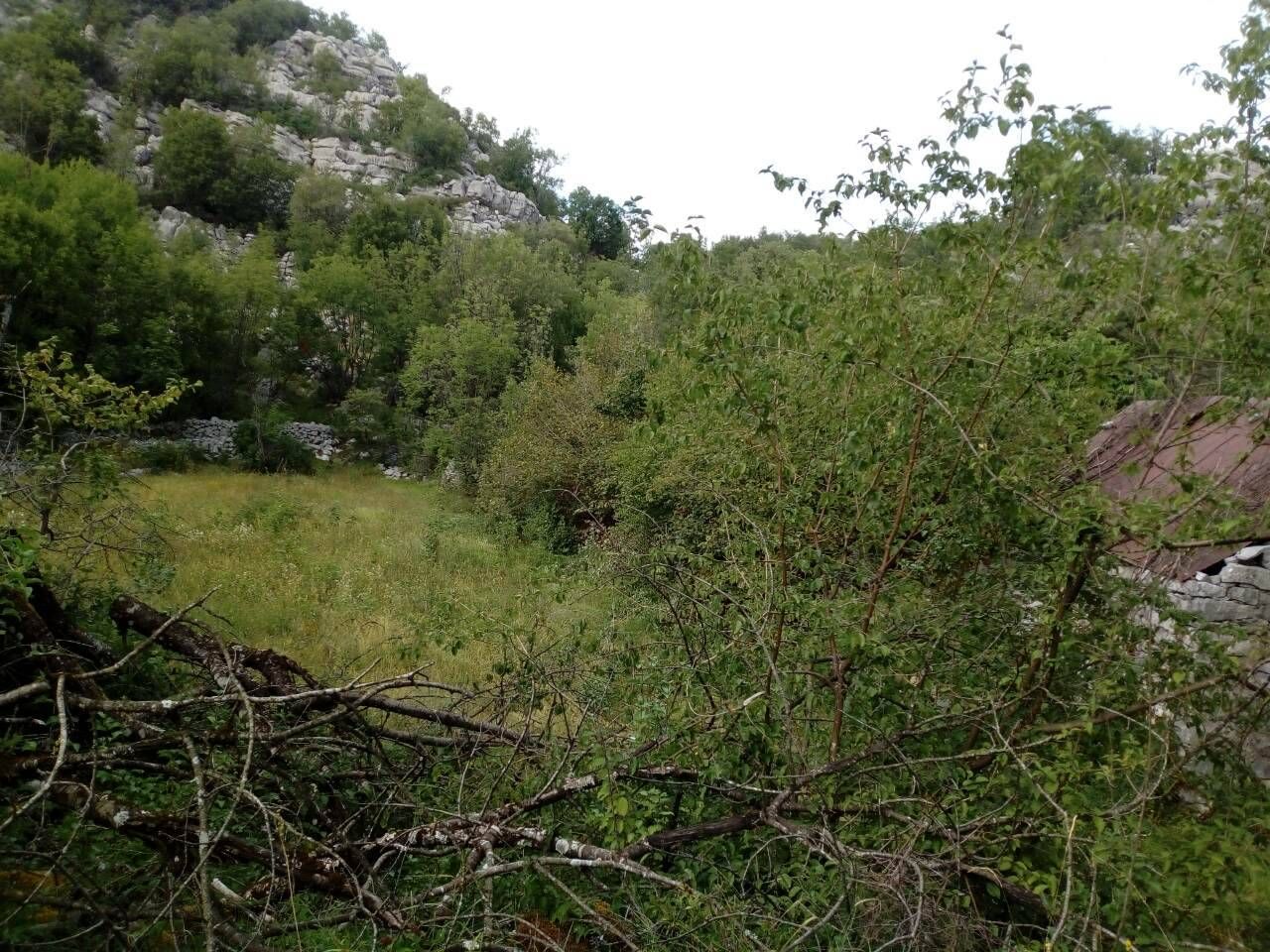 PORODIČNO IMANJE ŠTITARI - OPSTINA CETINJE - CRNA GORA - Amfora Real Estate