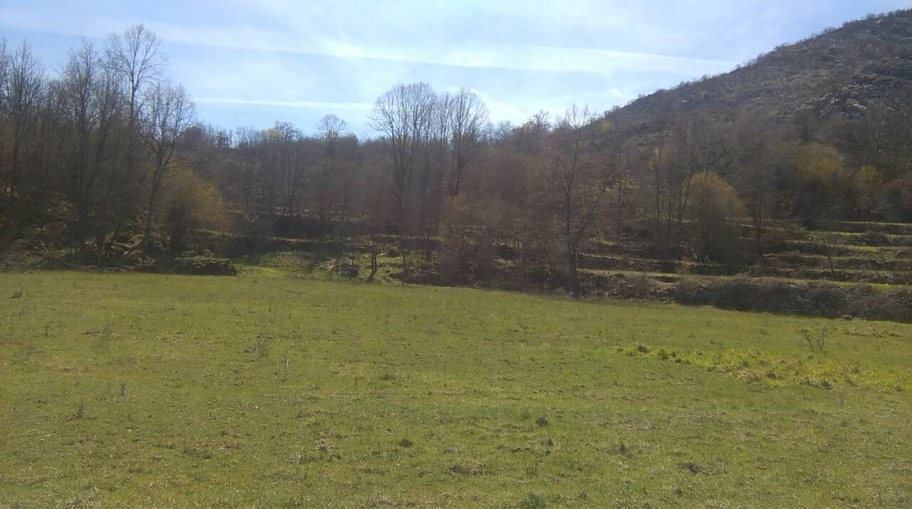 PORODIČNO IMANJE ŠTITARI - OPSTINA CETINJE - CRNA GORA - Amfora Real Estate