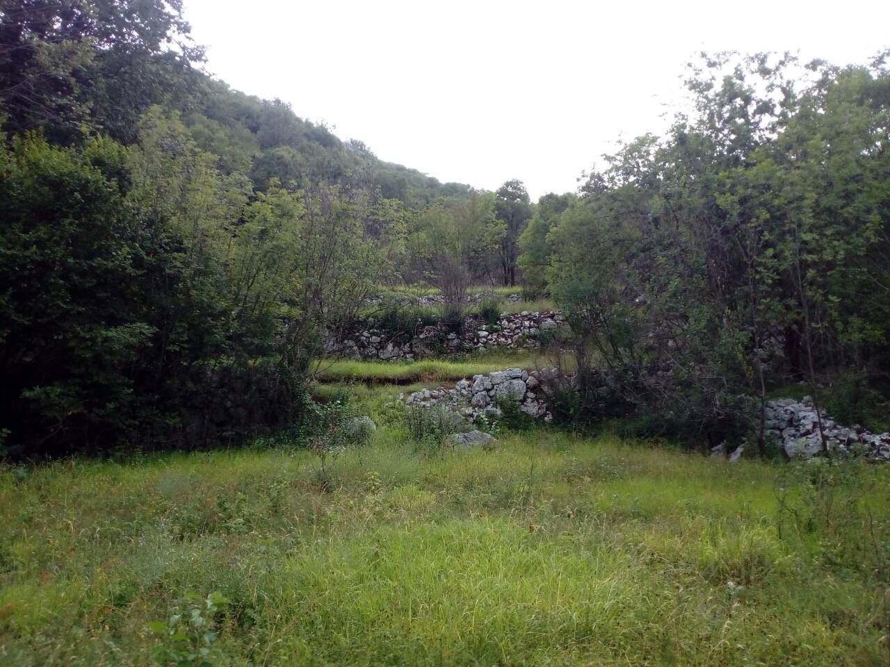 PORODIČNO IMANJE ŠTITARI - OPSTINA CETINJE - CRNA GORA - Amfora Real Estate