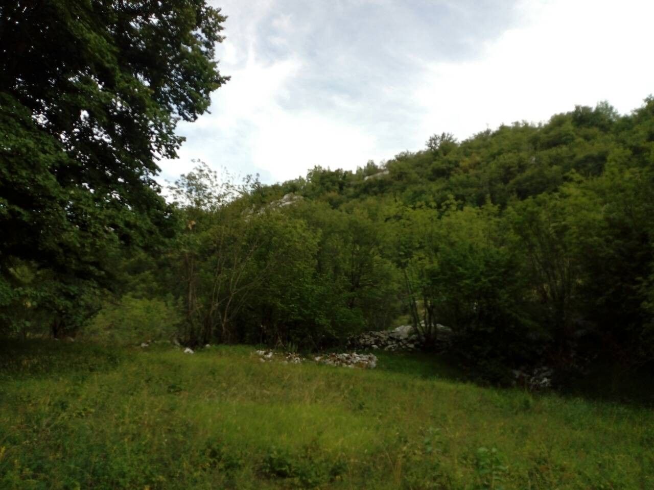 PORODIČNO IMANJE ŠTITARI - OPSTINA CETINJE - CRNA GORA - Amfora Real Estate