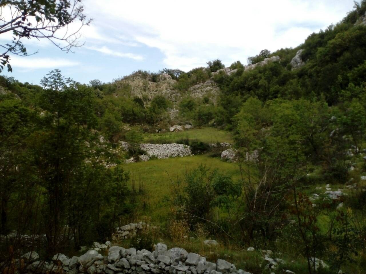 PORODIČNO IMANJE ŠTITARI - OPSTINA CETINJE - CRNA GORA - Amfora Real Estate