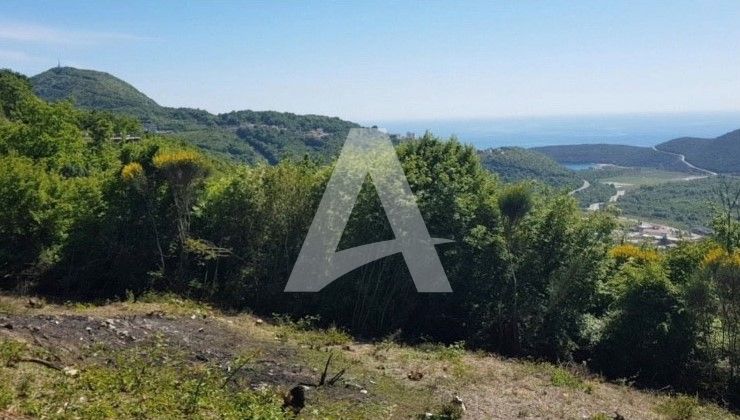 amforaproperty.com/Neurbanizovan plac  6300m2 , Svinjišta, Budva.