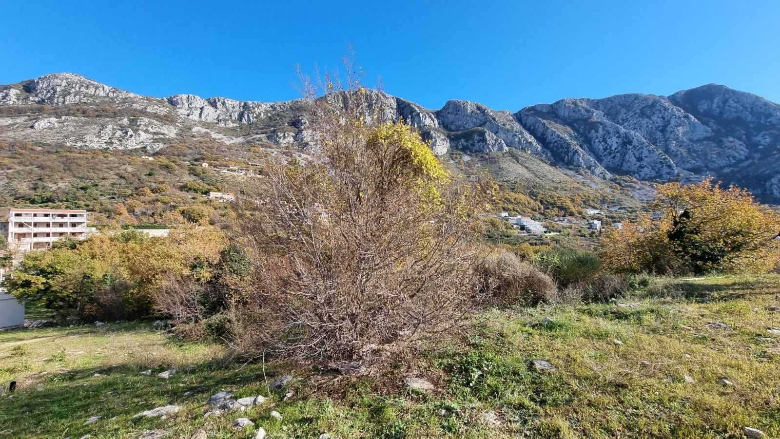 Plac 5343m2 sa pogledom na more Tudorovići,Budva. - Amfora Real Estate