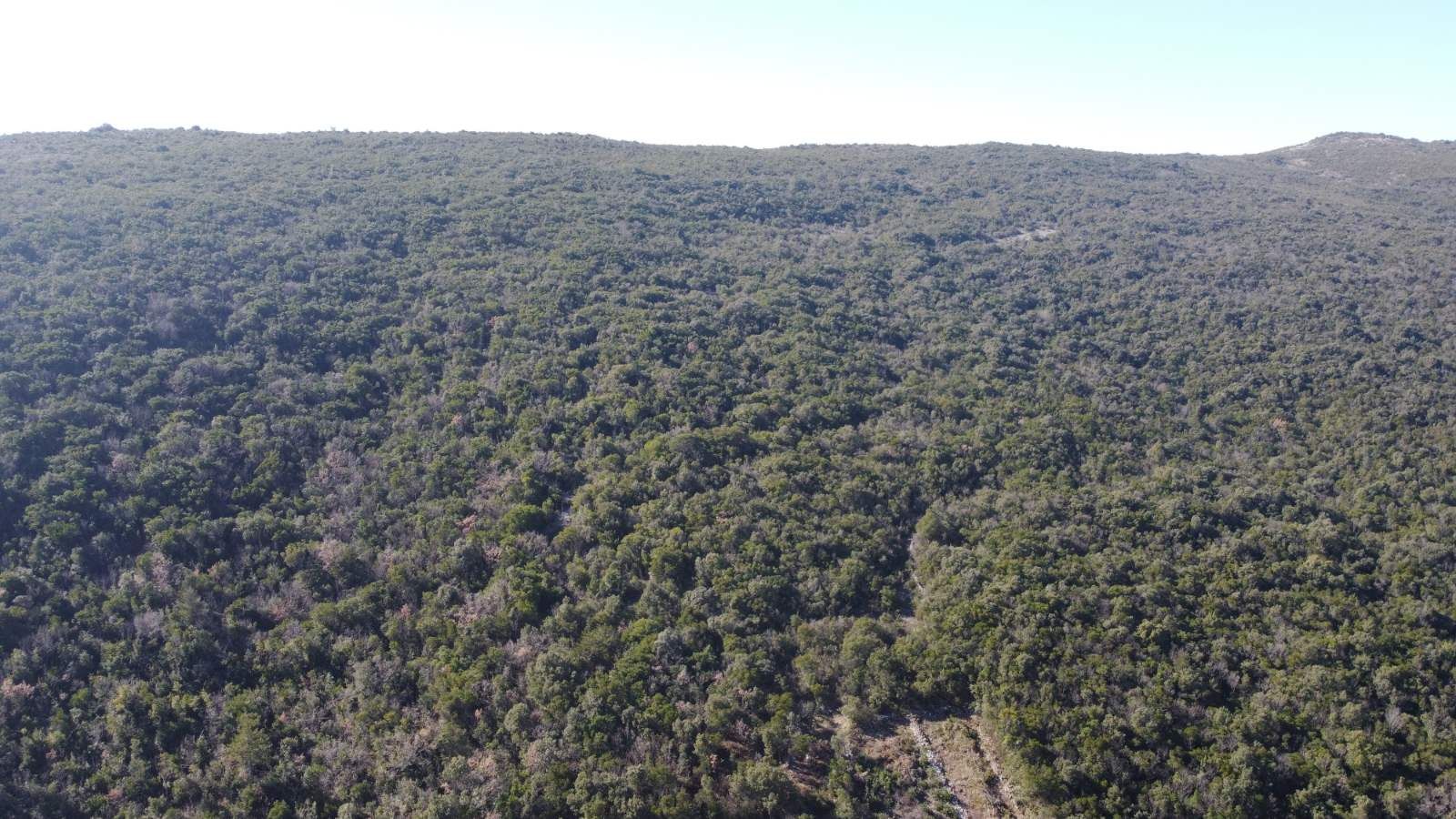 Povoljno! Plac 3740m2. Kovači, opština Kotor - Amfora Real Estate