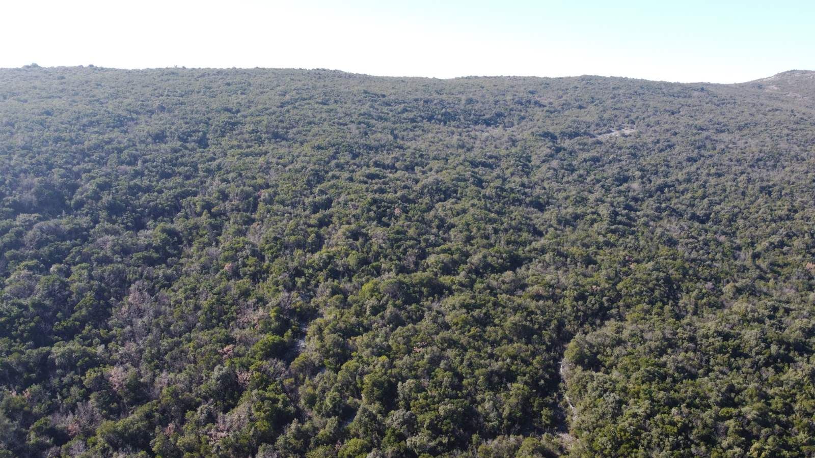 Povoljno! Plac 3740m2. Kovači, opština Kotor - Amfora Real Estate