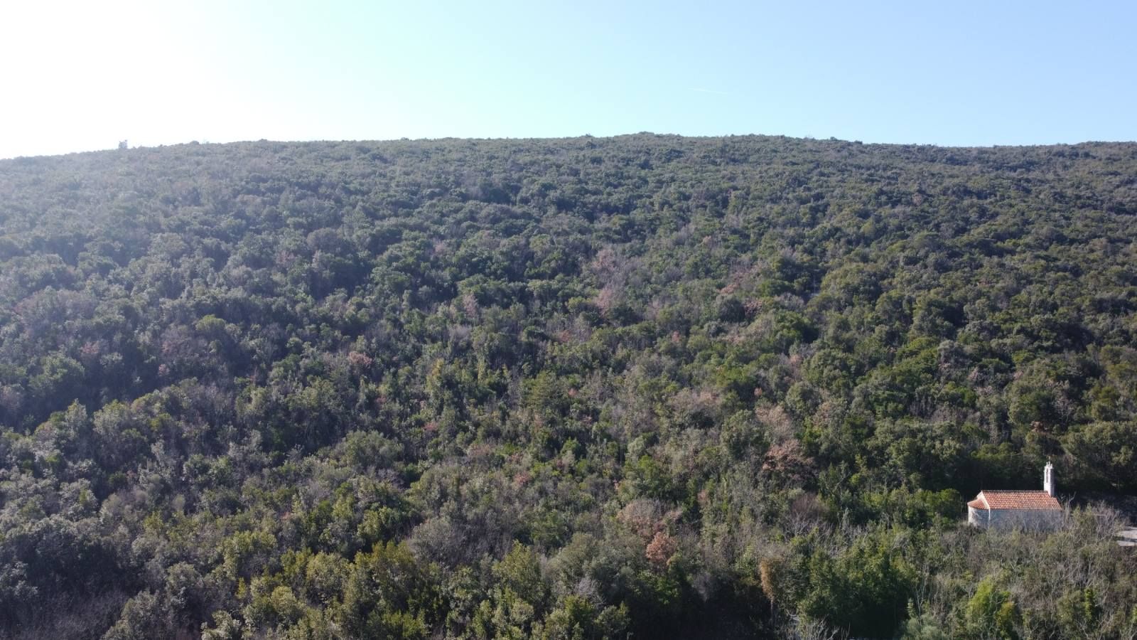 Povoljno! Plac 3740m2. Kovači, opština Kotor - Amfora Real Estate