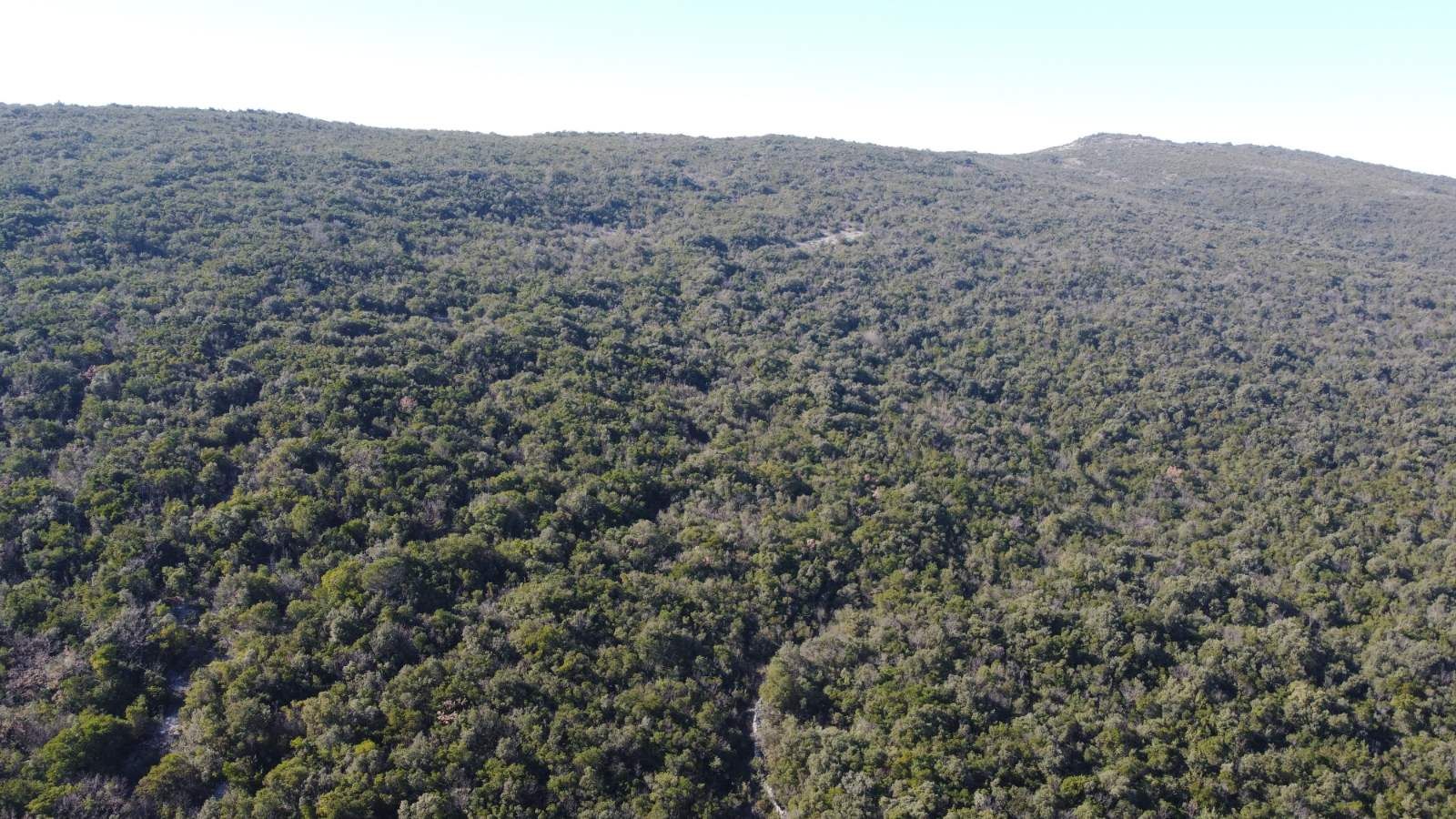 Povoljno! Plac 3740m2. Kovači, opština Kotor - Amfora Real Estate