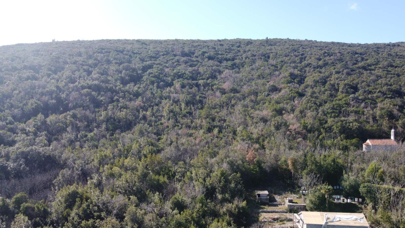 Povoljno! Plac 3740m2. Kovači, opština Kotor - Amfora Real Estate