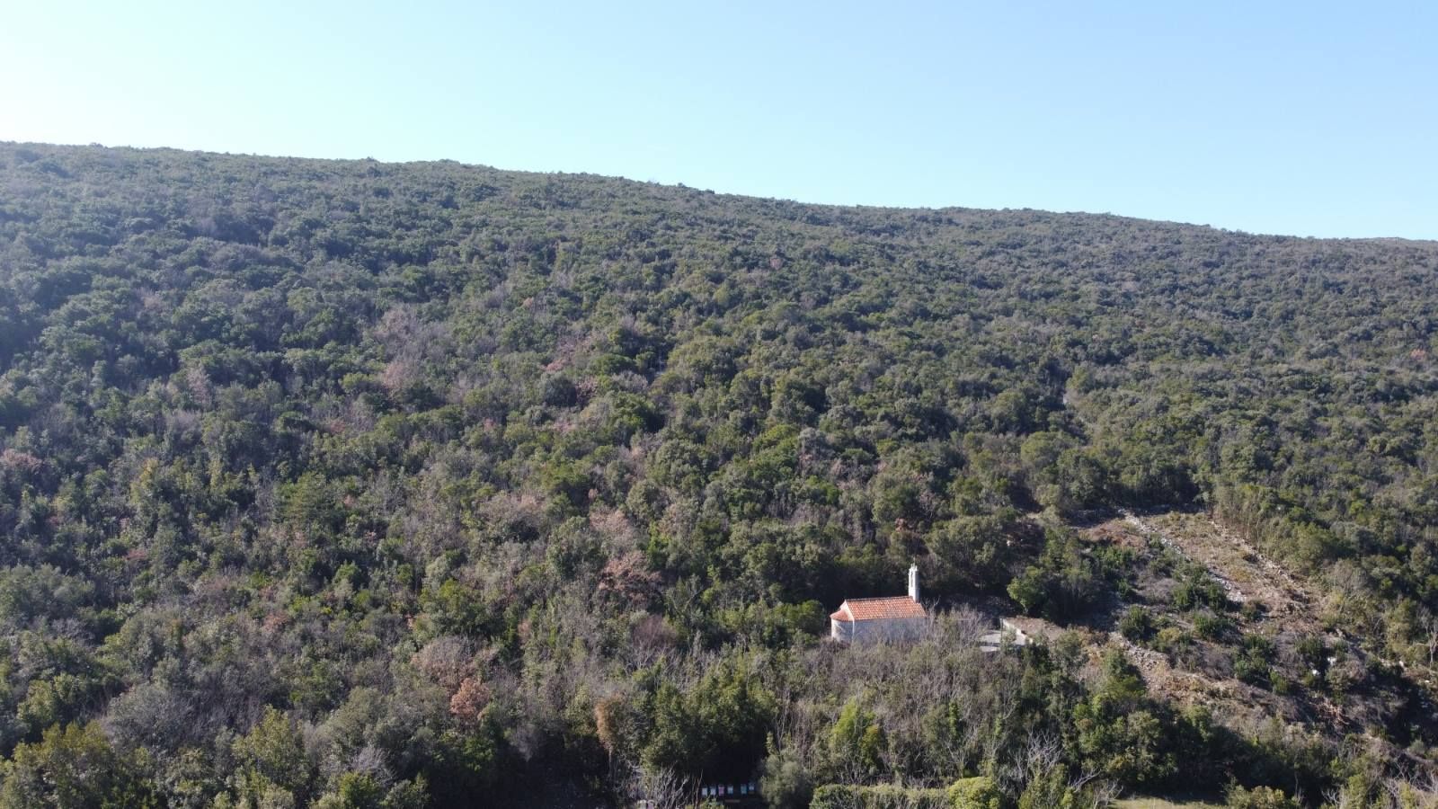 Povoljno! Plac 3740m2. Kovači, opština Kotor - Amfora Real Estate