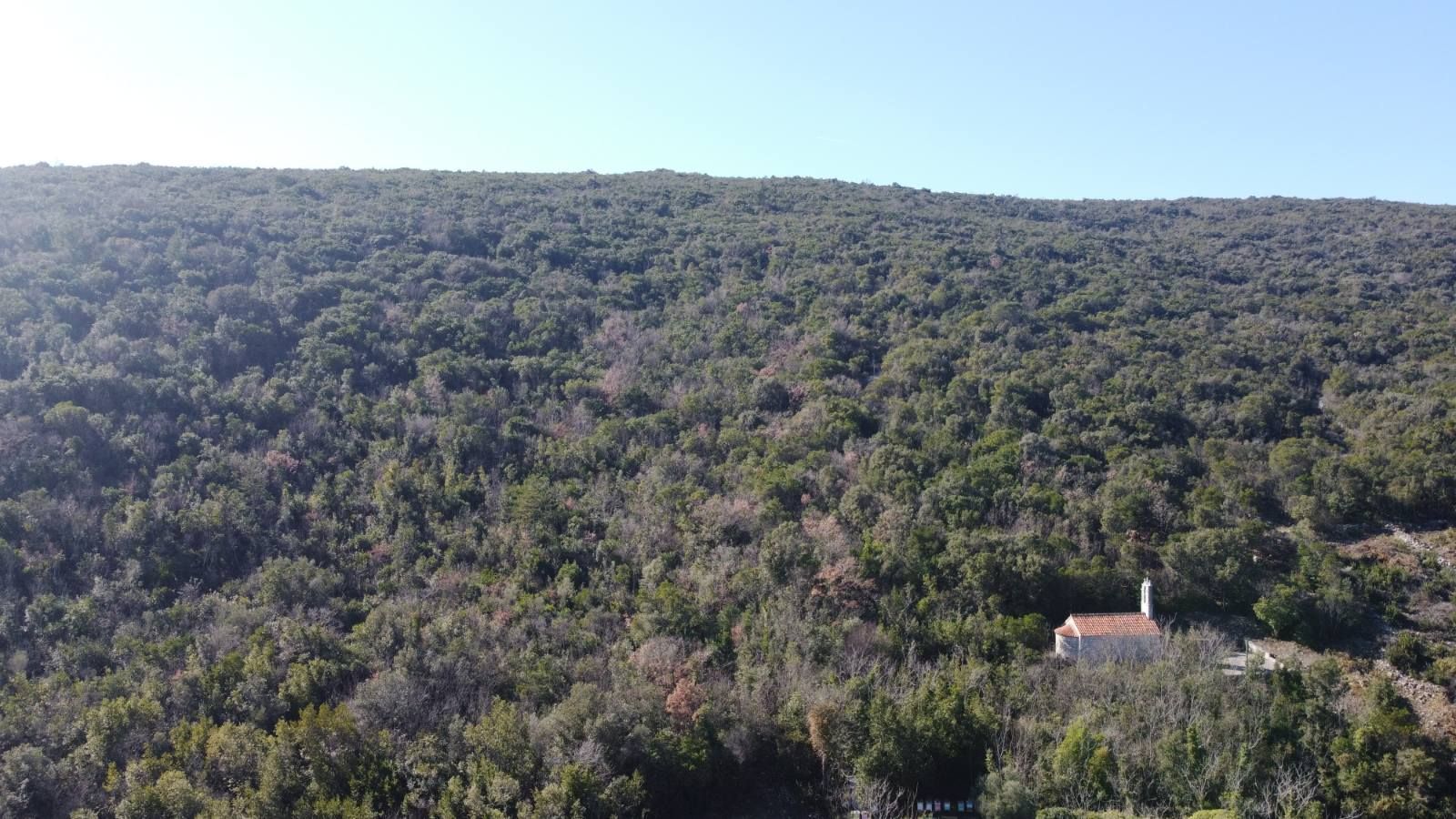 Povoljno! Plac 3740m2. Kovači, opština Kotor - Amfora Real Estate