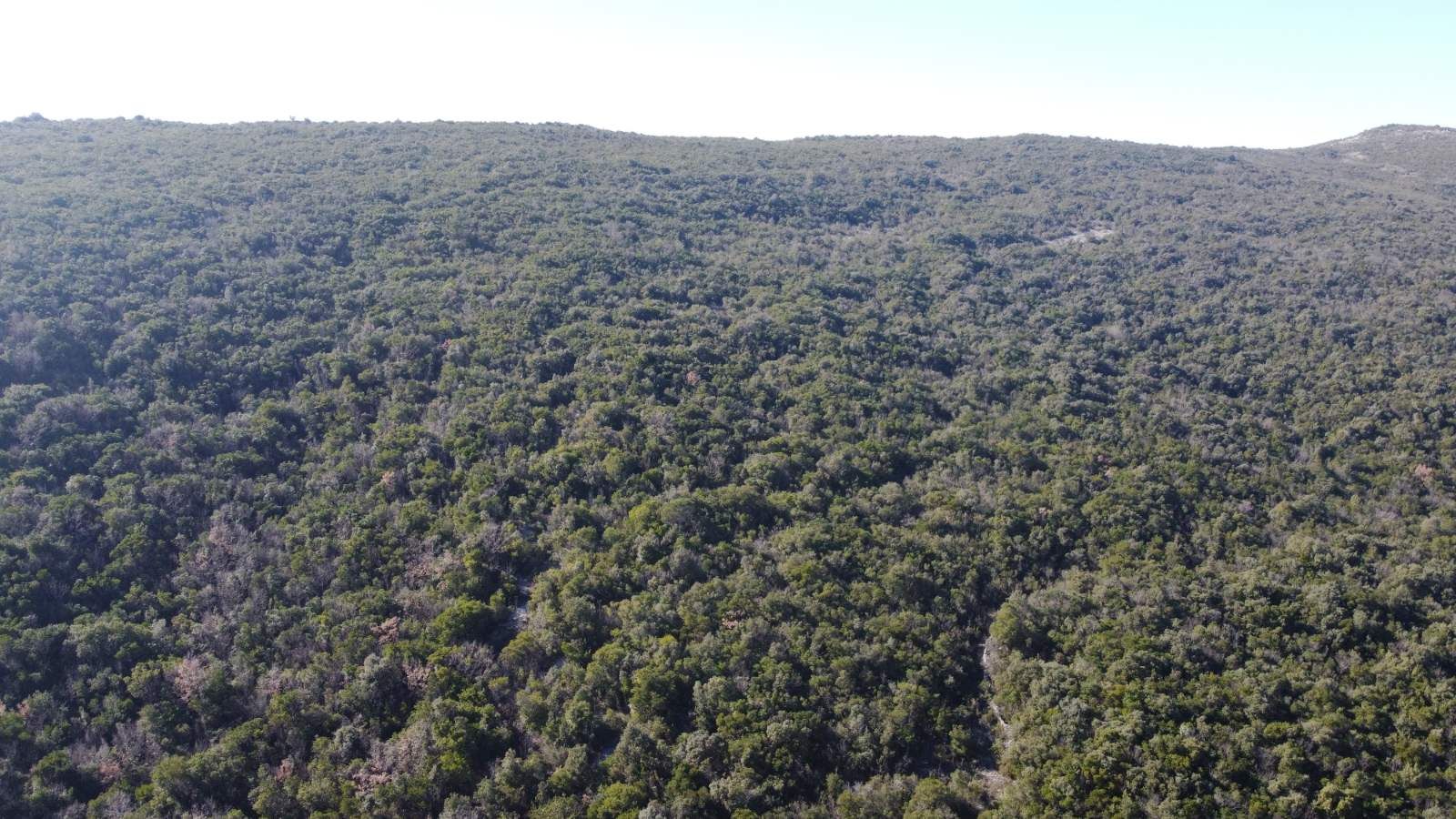 Povoljno! Plac 3740m2. Kovači, opština Kotor - Amfora Real Estate