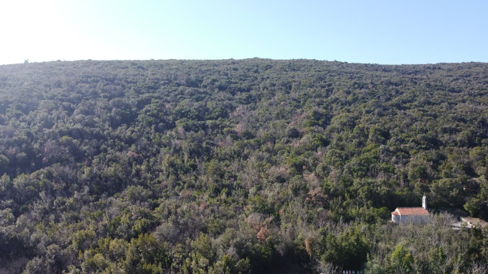 Povoljno! Plac 3740m2. Kovači, opština Kotor - Amfora Real Estate