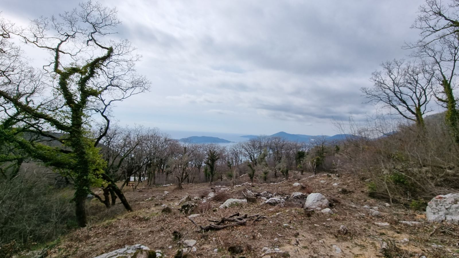 Urbanizovan plac sa prelepim pogledom na more u Kuljačama, opština Budva - 2170 m² - Amfora Real Estate