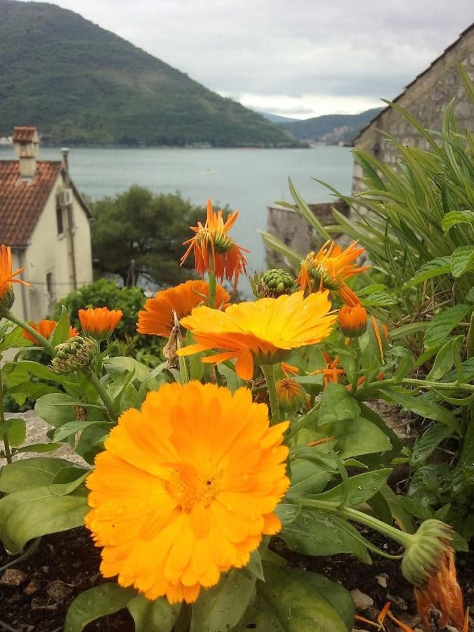 Vila 136 m² na parceli 150 m², 50 m od mora s pogledom na more – Perast - Amfora Real Estate