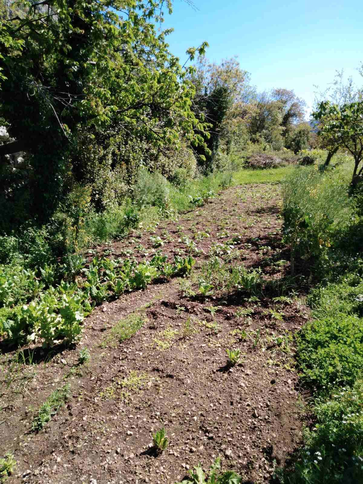 plac 450m2 sa pogledom na zaliv u naselju Sv. Stasije,Kotor - Amfora Real Estate