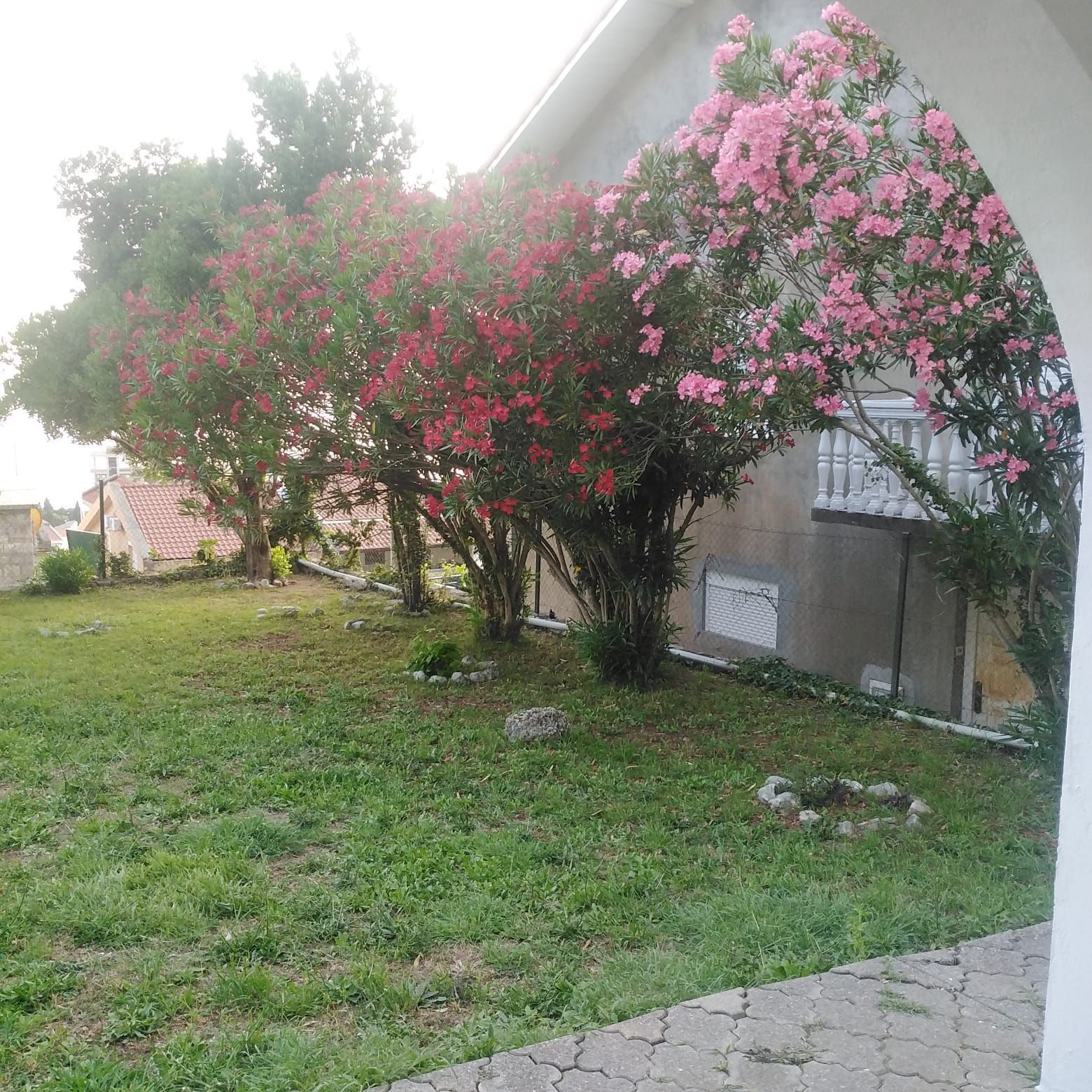 amforaproperty.com/Kuca za renoviranje sa prelepim pogledom na more,Petrovac,Budva.