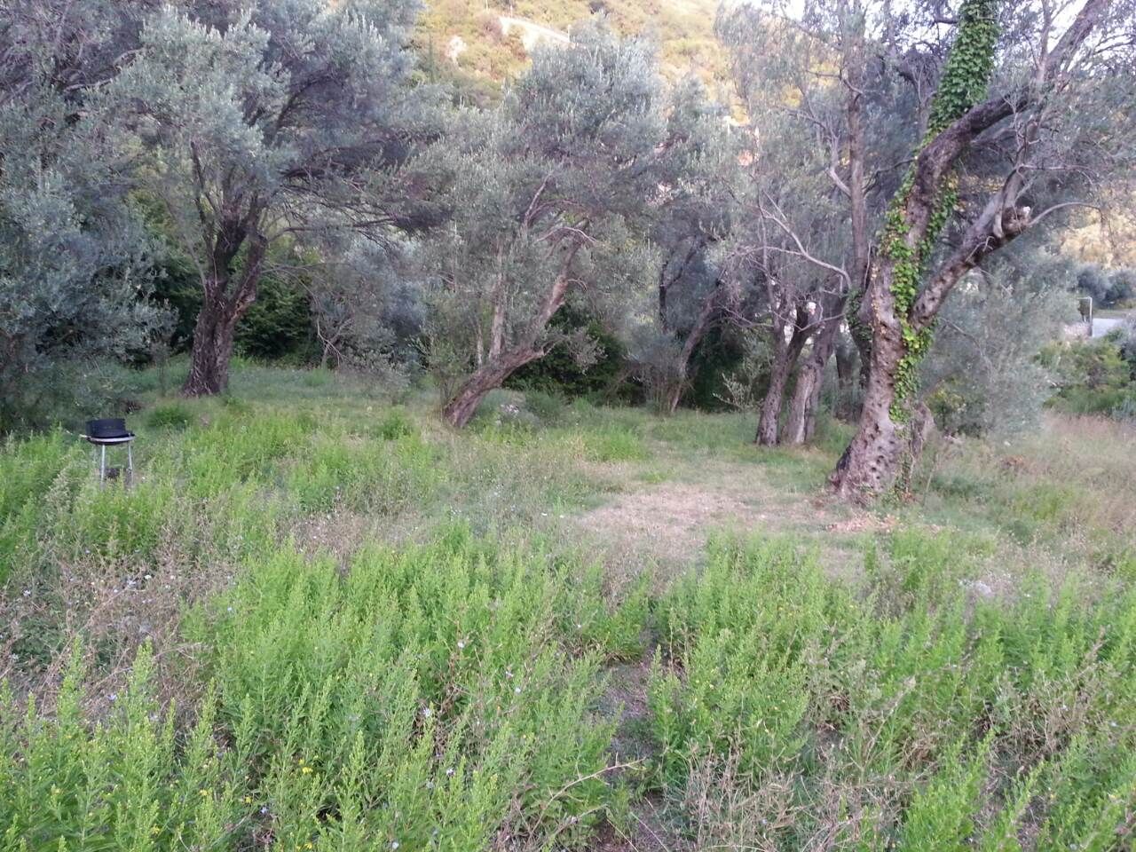 Odličan gradjevinski plac sa idejnim projektom vile na izuzetnoj lokaciji u Petrovcu,(Budva) - Amfora Real Estate