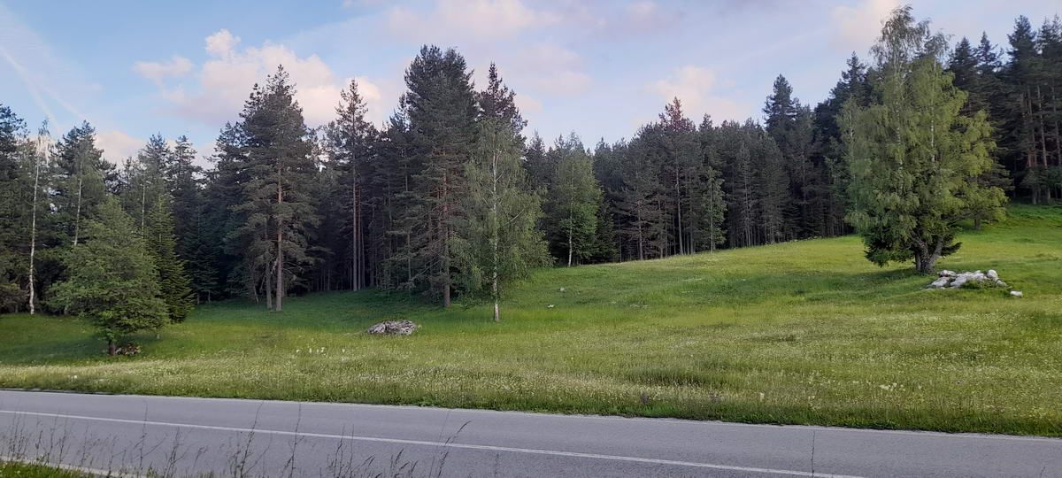 Plac površine 10,354m2 pored same magistrale Zabljak-Pljevlja (7km od centra Zabljaka) - Amfora Real Estate