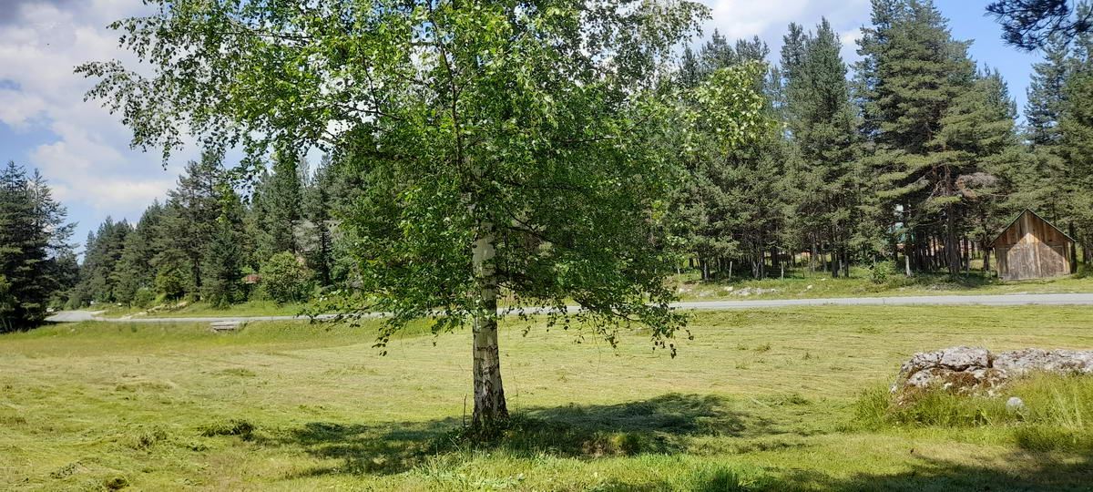 Plac površine 10,354m2 pored same magistrale Zabljak-Pljevlja (7km od centra Zabljaka) - Amfora Real Estate