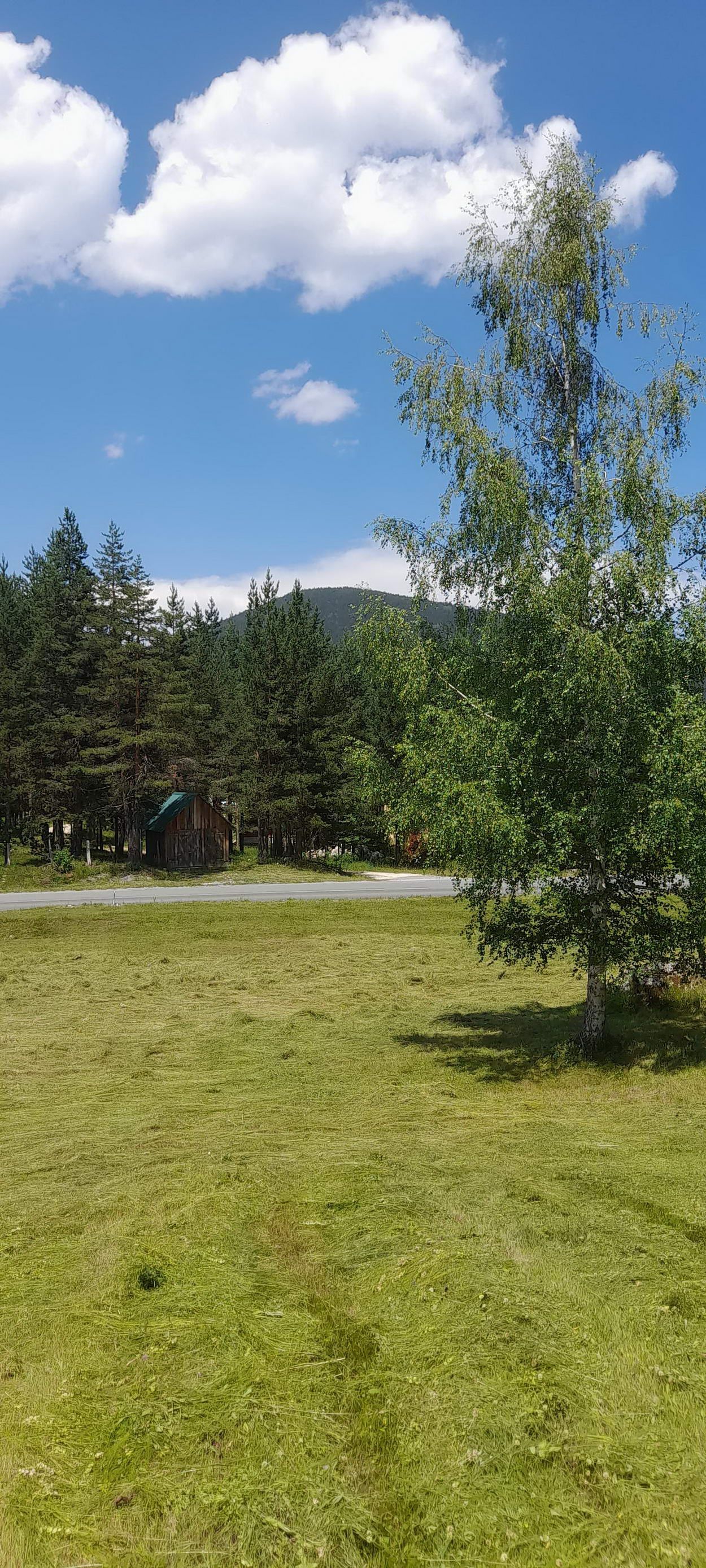 Plac površine 10,354m2 pored same magistrale Zabljak-Pljevlja (7km od centra Zabljaka) - Amfora Real Estate