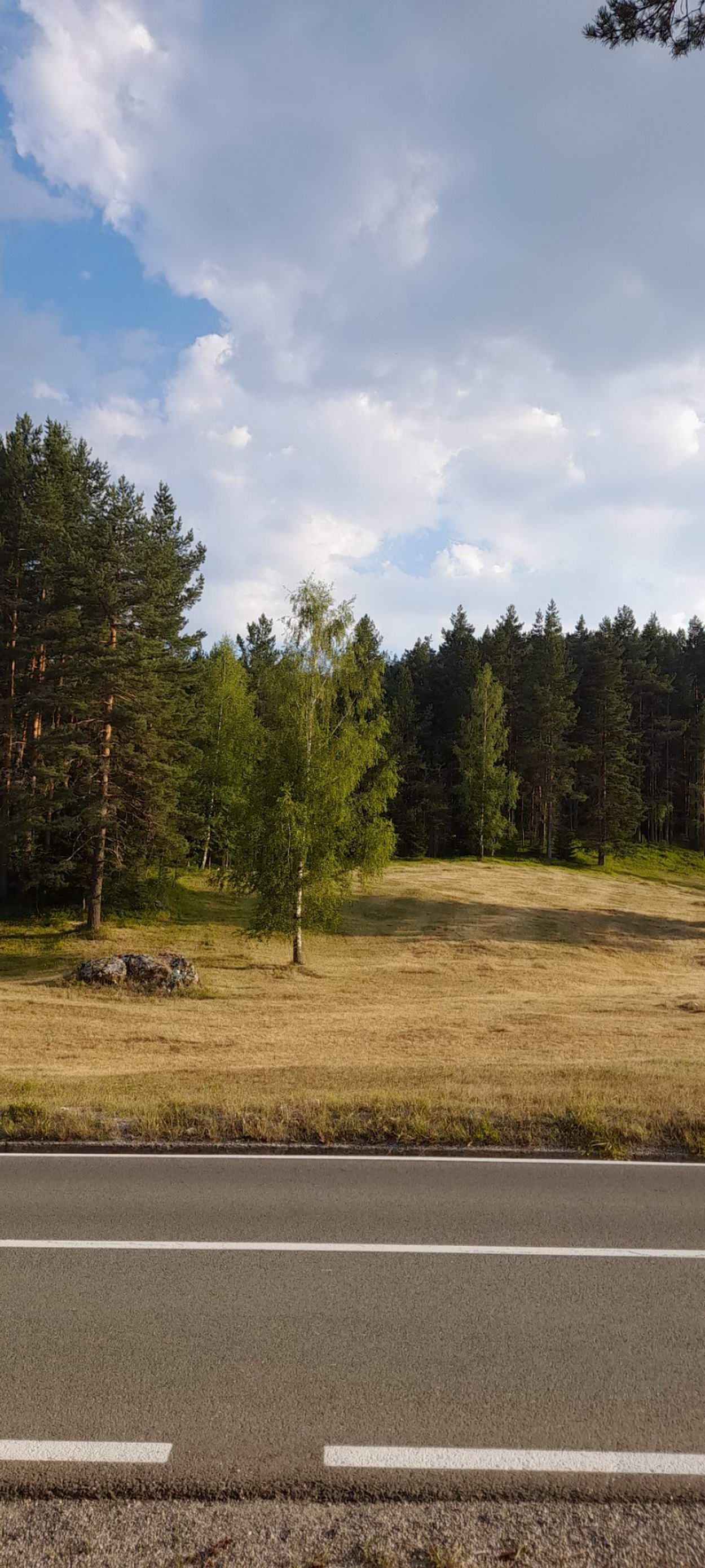 Plac površine 10,354m2 pored same magistrale Zabljak-Pljevlja (7km od centra Zabljaka) - Amfora Real Estate