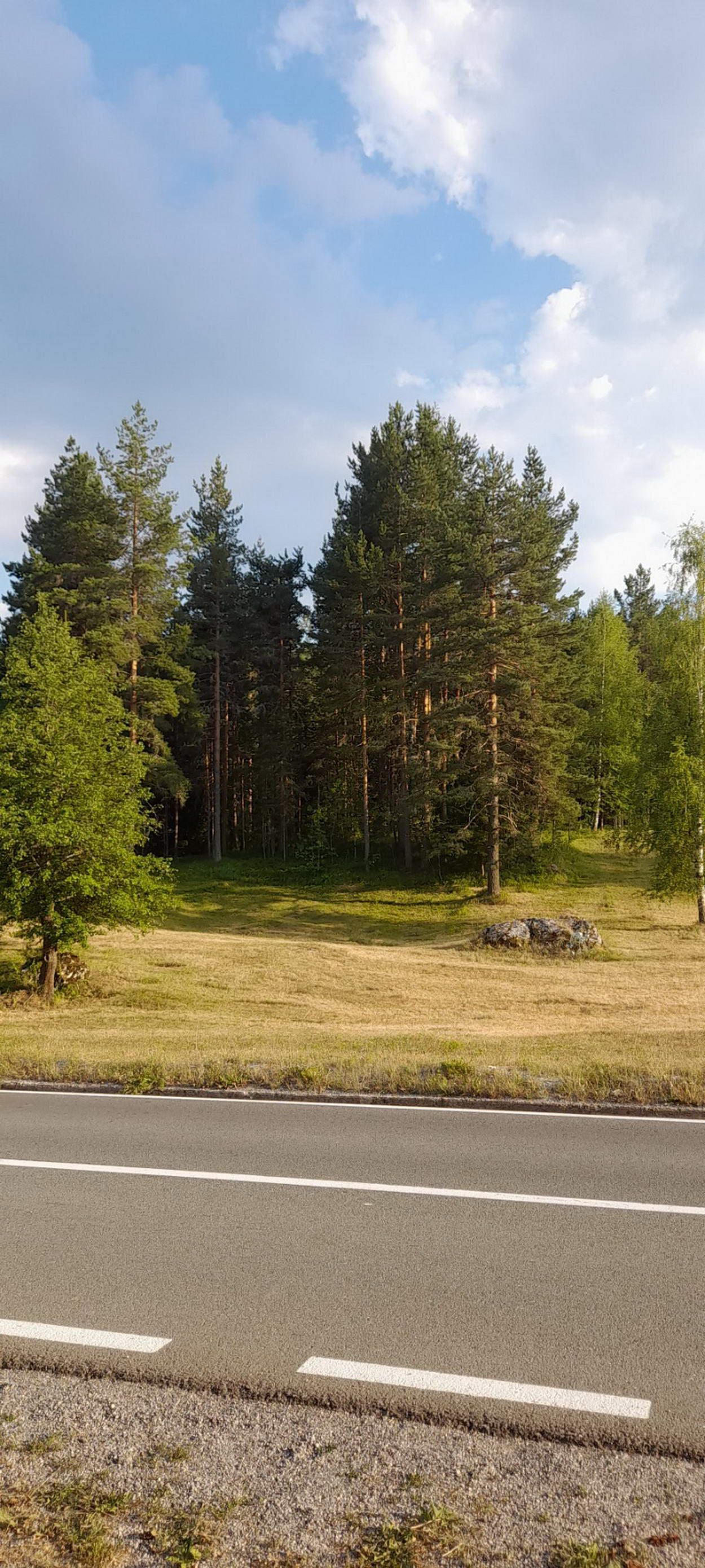 Plac površine 10,354m2 pored same magistrale Zabljak-Pljevlja (7km od centra Zabljaka) - Amfora Real Estate