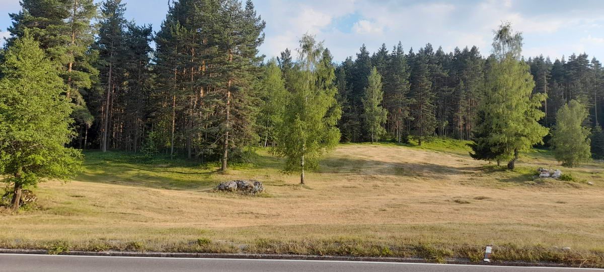 Plac površine 10,354m2 pored same magistrale Zabljak-Pljevlja (7km od centra Zabljaka) - Amfora Real Estate