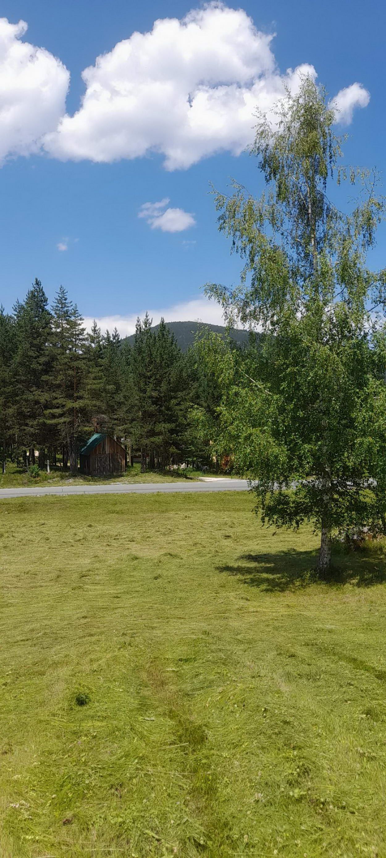 Plac površine 10,354m2 pored same magistrale Zabljak-Pljevlja (7km od centra Zabljaka) - Amfora Real Estate