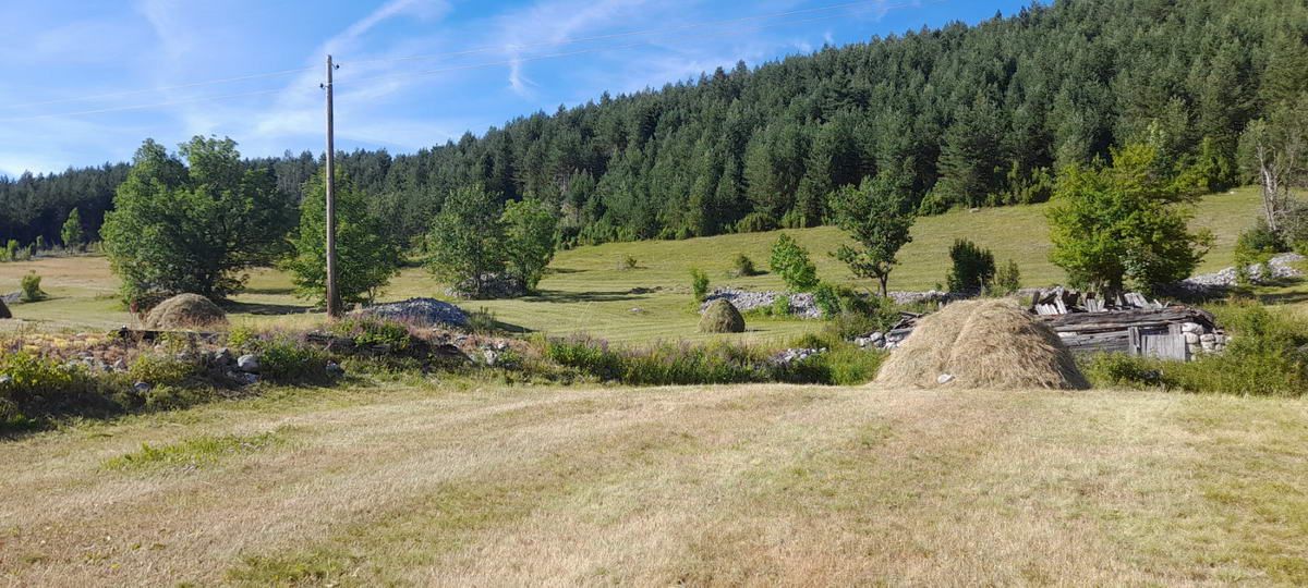 Plac površine 10,354m2 pored same magistrale Zabljak-Pljevlja (7km od centra Zabljaka) - Amfora Real Estate