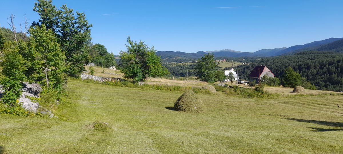 Plac površine 10,354m2 pored same magistrale Zabljak-Pljevlja (7km od centra Zabljaka) - Amfora Real Estate