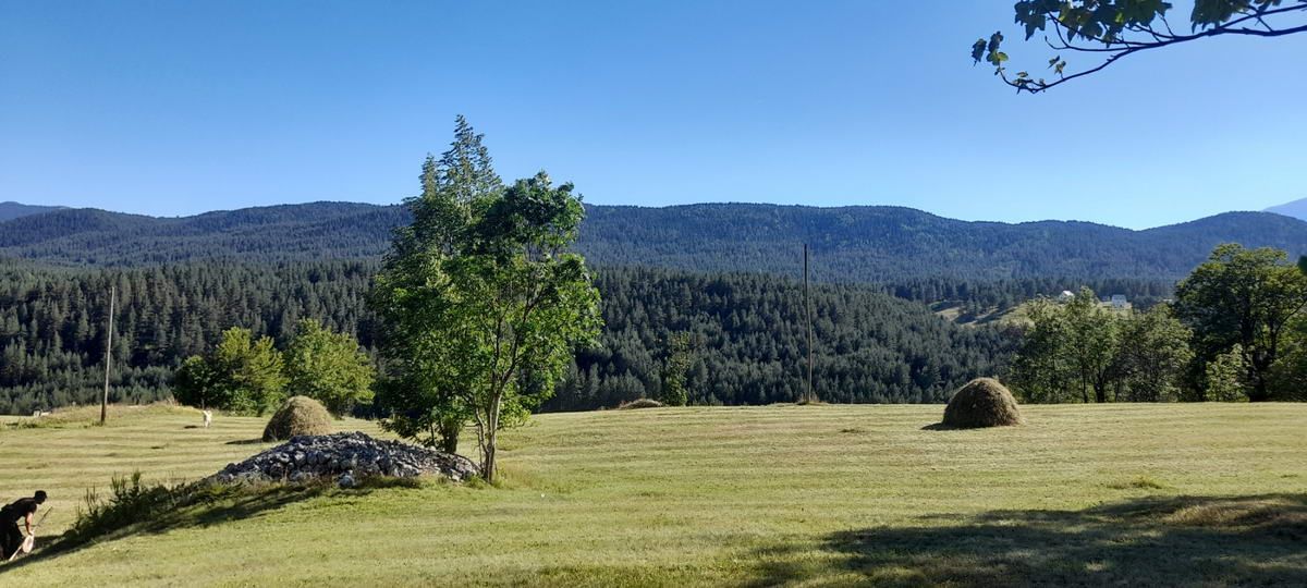 Plac površine 10,354m2 pored same magistrale Zabljak-Pljevlja (7km od centra Zabljaka) - Amfora Real Estate