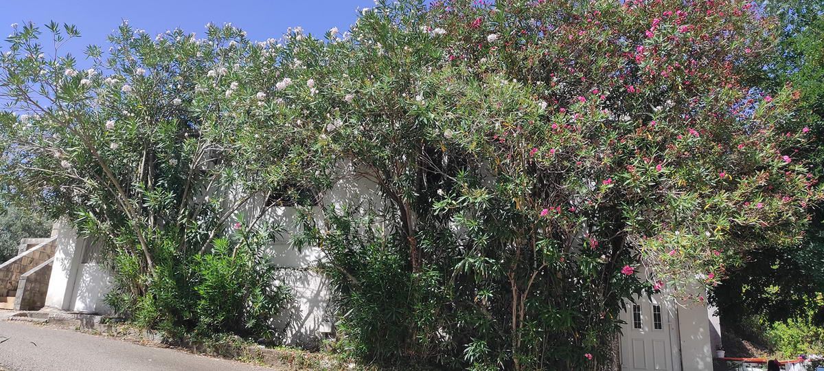 Na prodaju kuca sa dva apartmana 37m2 + 42m2 u Becicima. - Amfora Real Estate