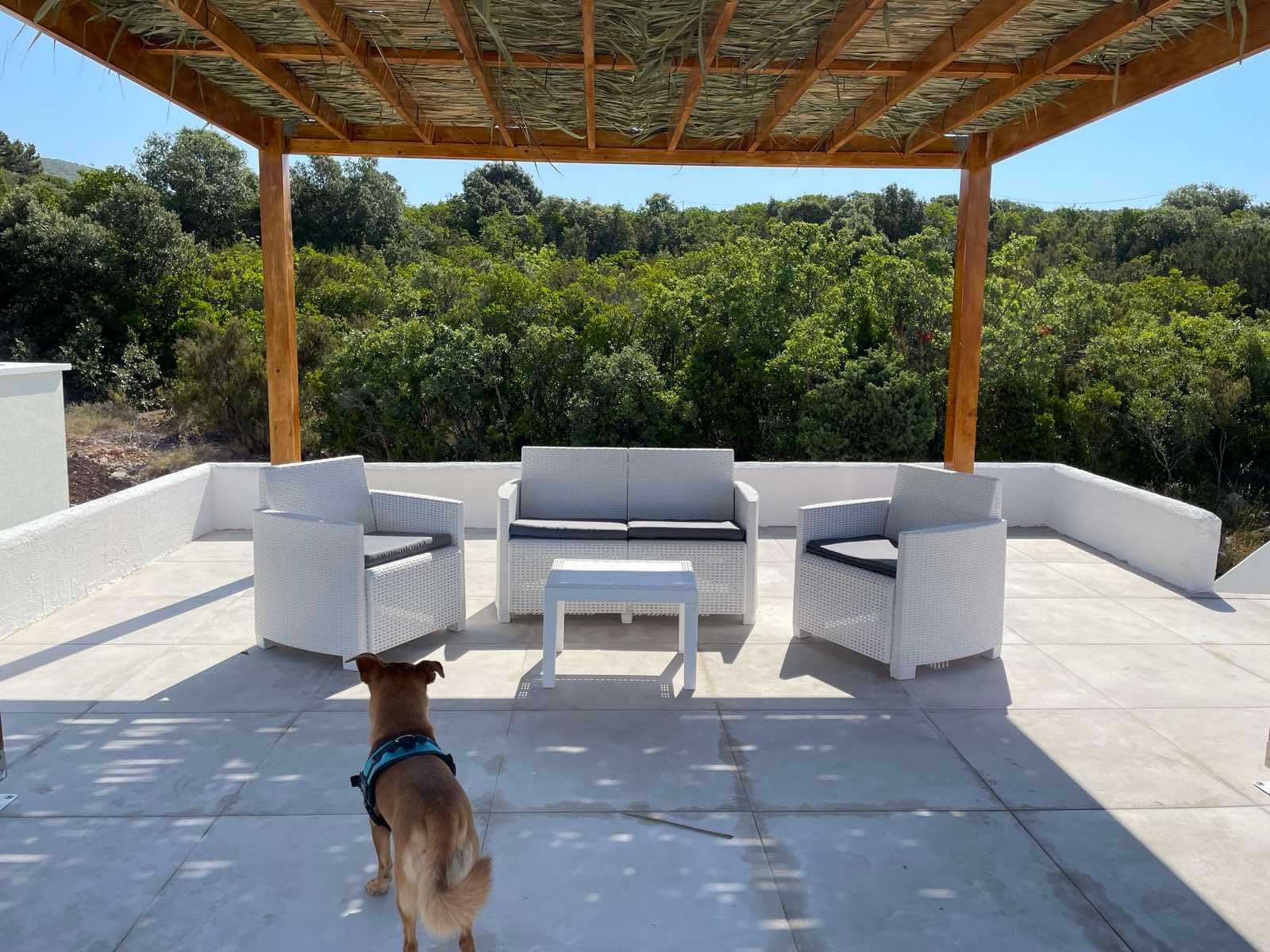 Na prodaju plac (450m2) sa legalizovanim i uknjizenim objektom od 40m2 i prelepim pogledom na more ,Zagora (Kotor) - Amfora Real Estate