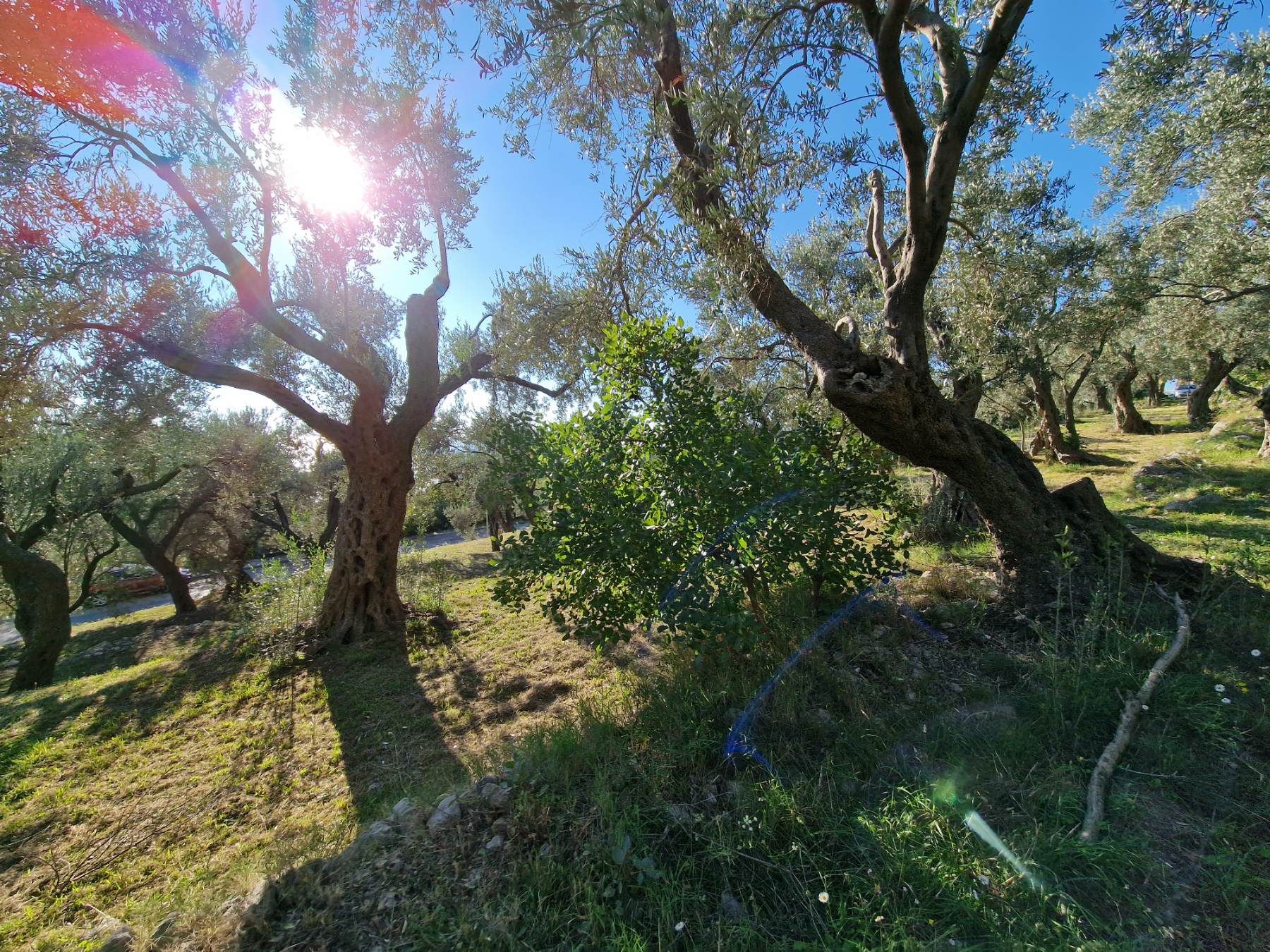 Gradjevinski plac 1650m2 sa nezagradivim pogledom na more, Reževici-Budva - Amfora Real Estate