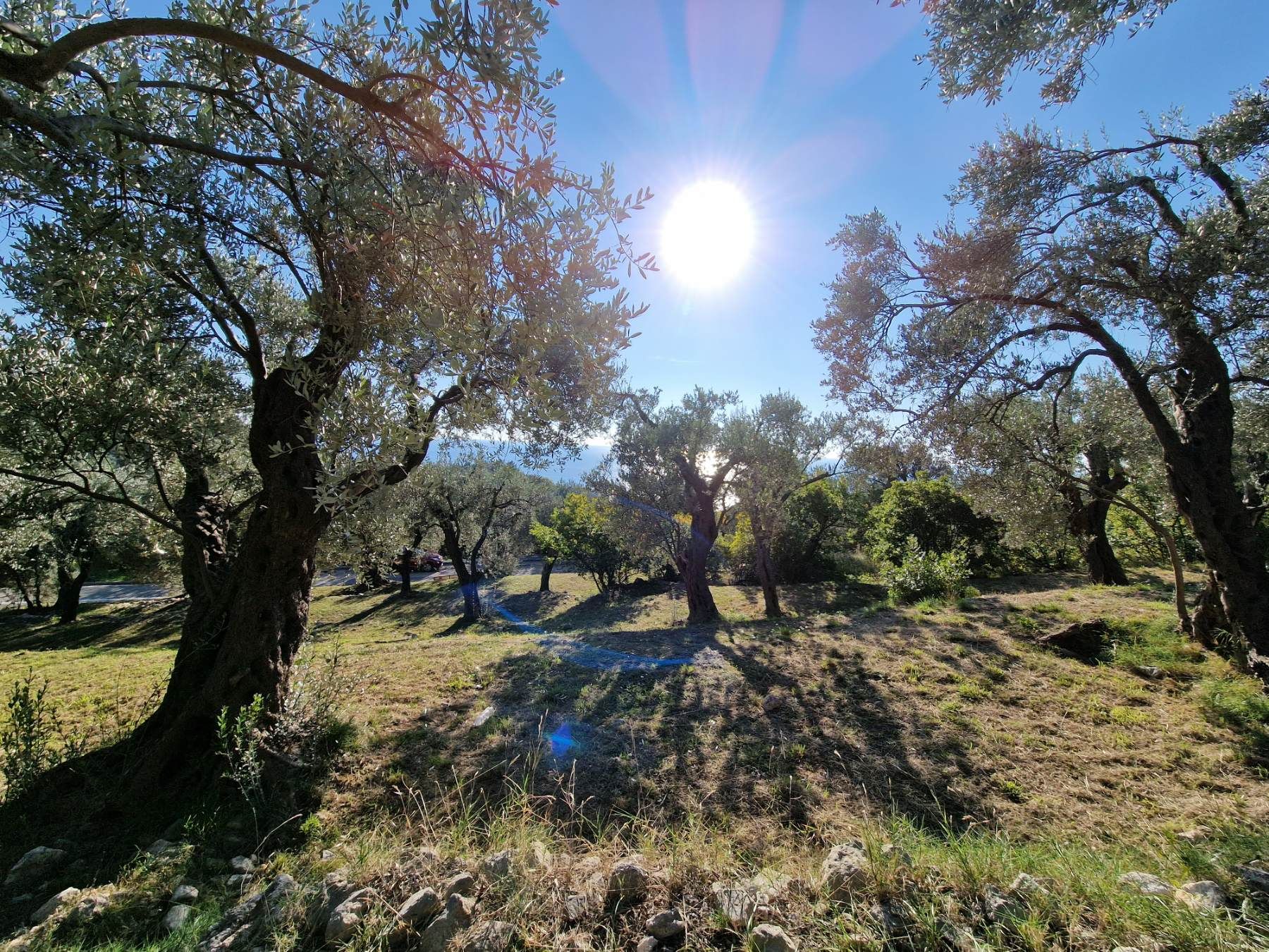 Gradjevinski plac 1650m2 sa nezagradivim pogledom na more, Reževici-Budva - Amfora Real Estate