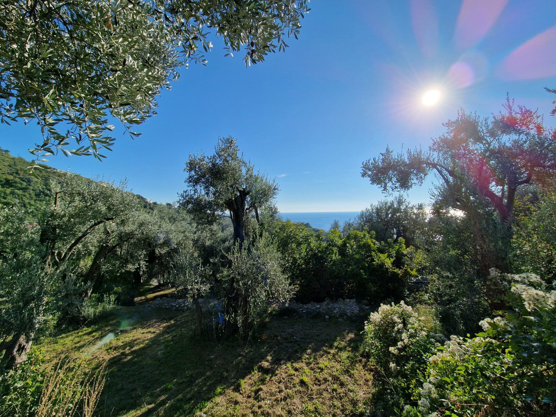 Gradjevinski plac 1650m2 sa nezagradivim pogledom na more, Reževici-Budva - Amfora Real Estate