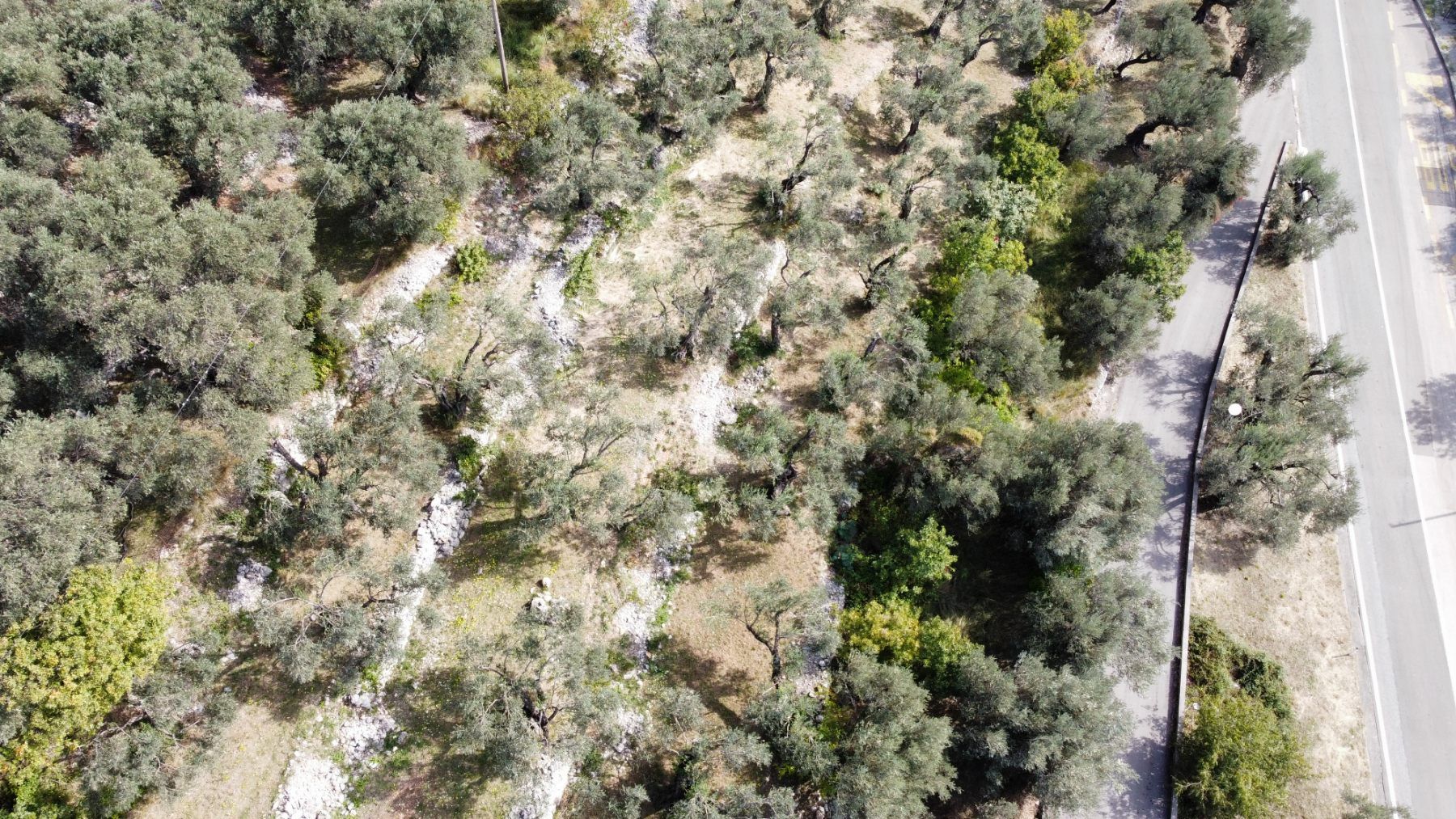 Gradjevinski plac 1650m2 sa nezagradivim pogledom na more, Reževici-Budva - Amfora Real Estate