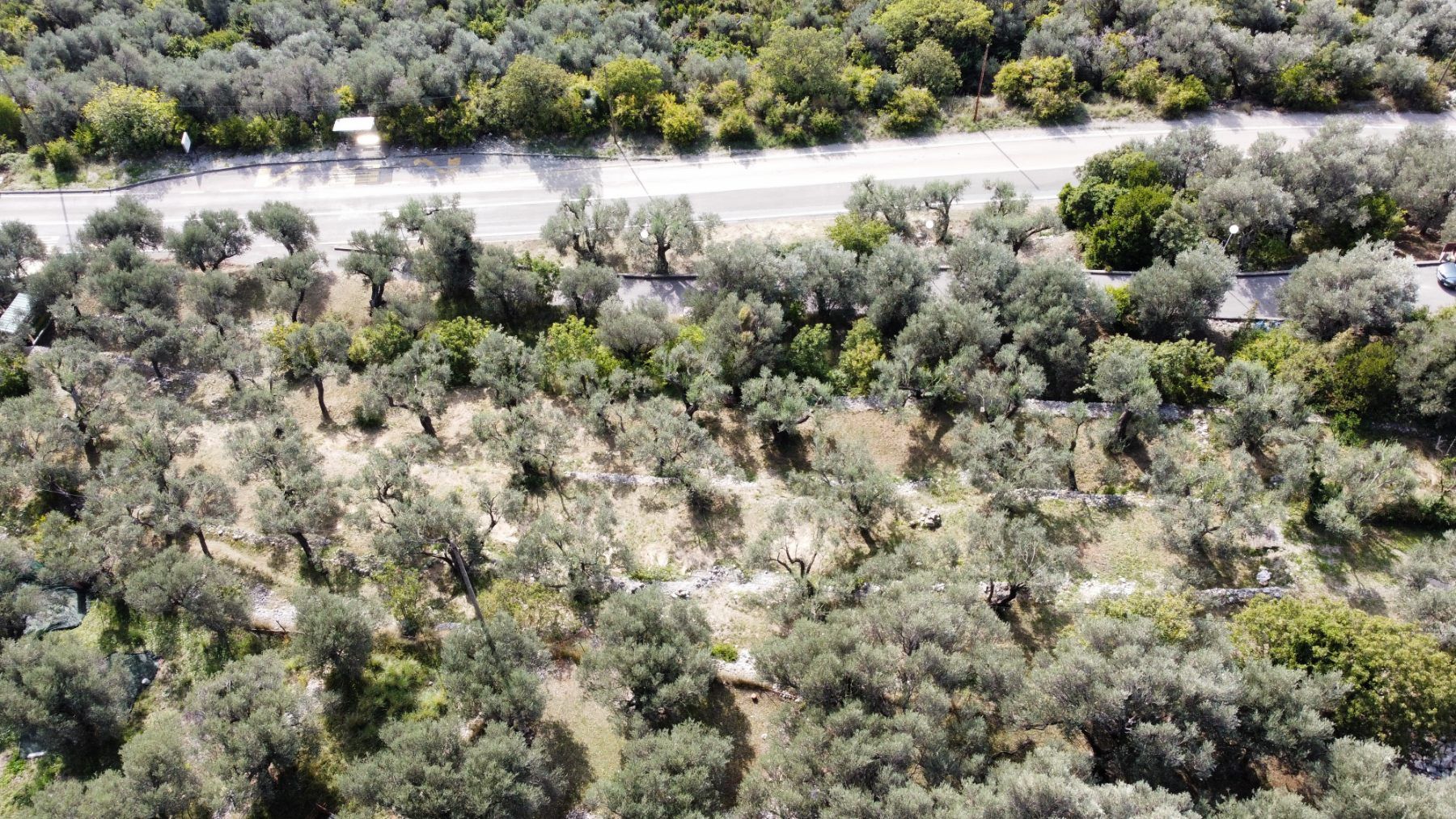 Gradjevinski plac 1650m2 sa nezagradivim pogledom na more, Reževici-Budva - Amfora Real Estate