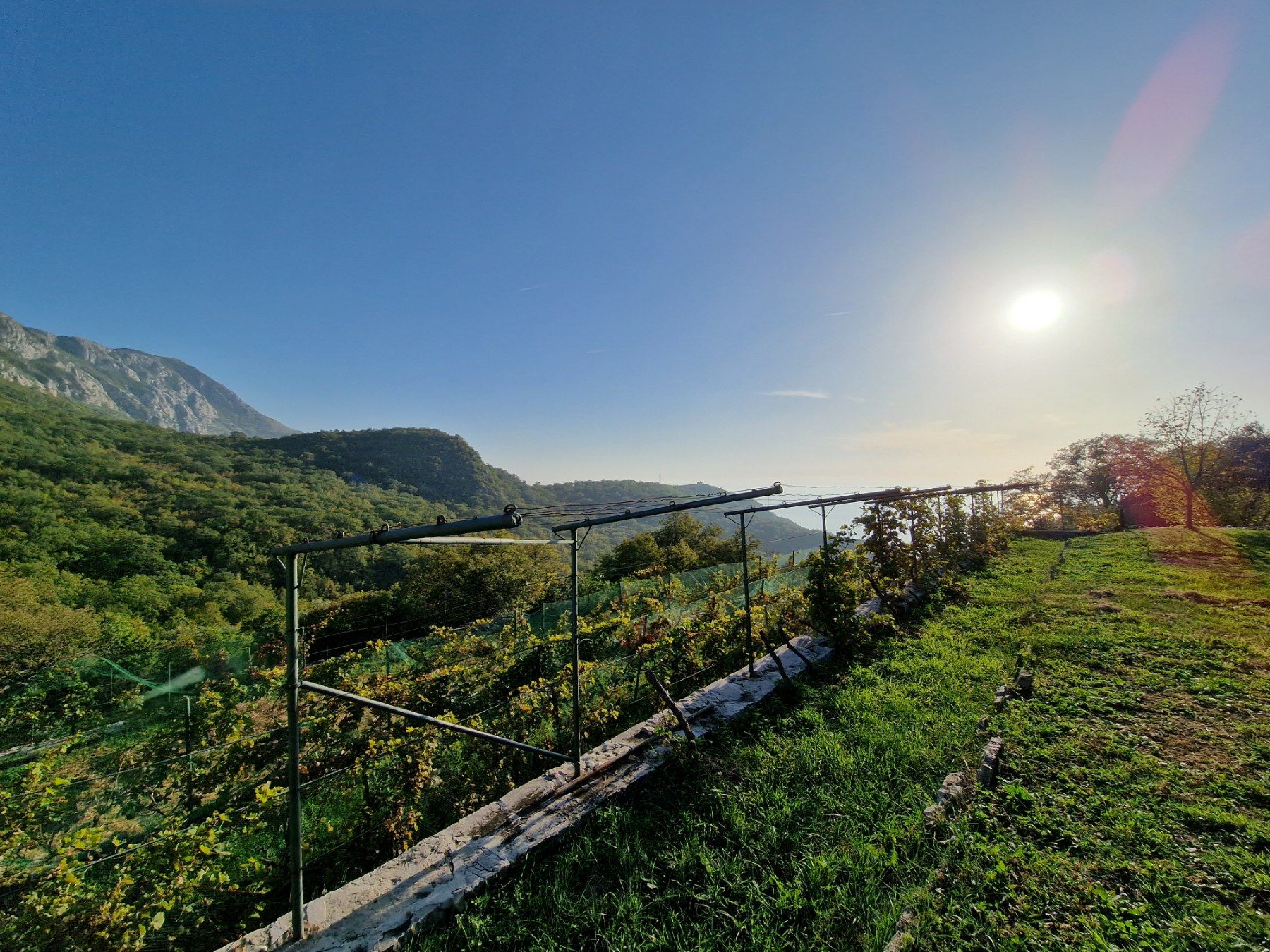 Kamena kuća sa prelepim pogledom na more u neposrednoj blizini Svetog Stefana-Čelobrdo (Na duzi vremenski period) - Amfora Real Estate