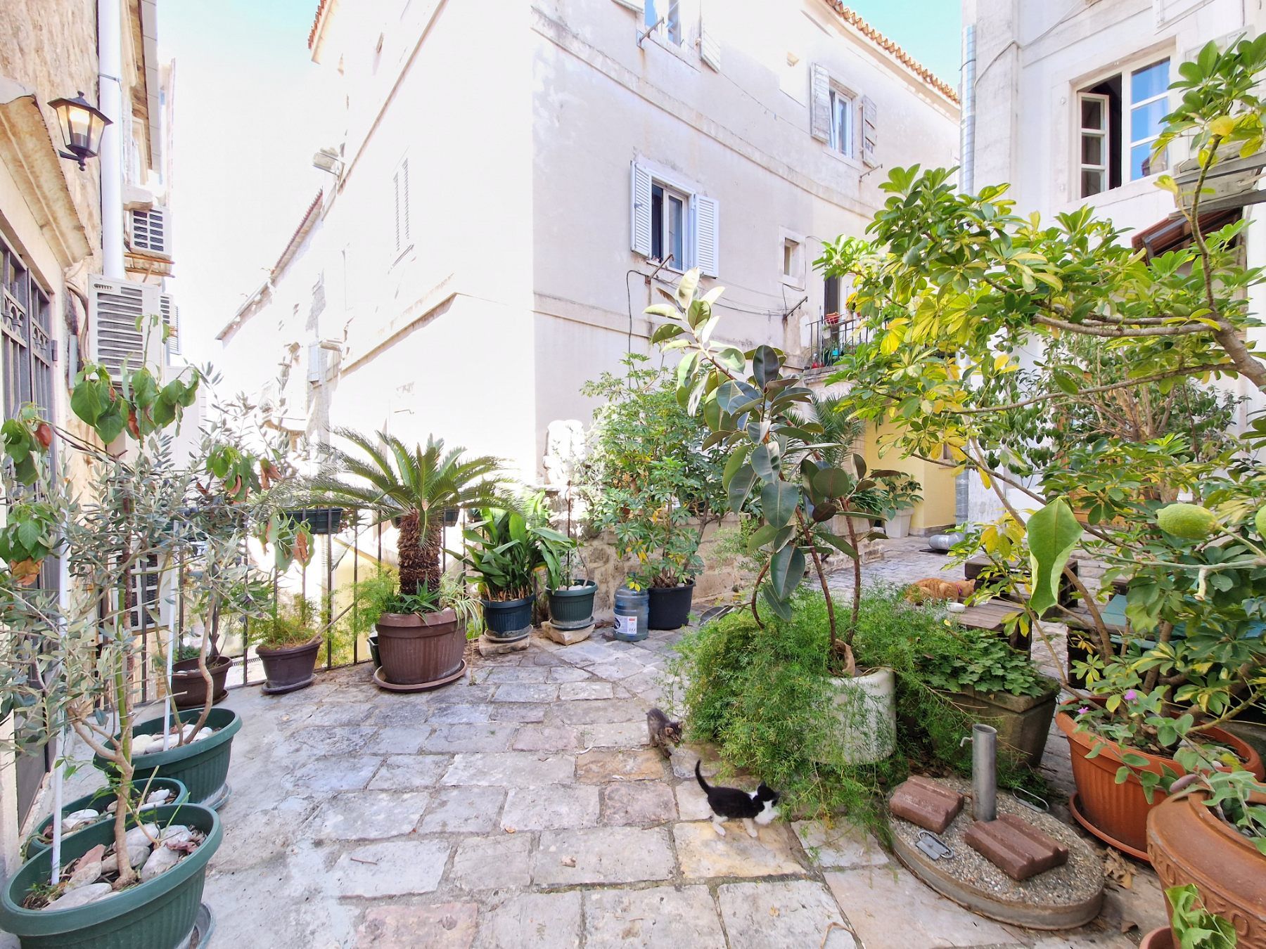 Jedinstvena ponuda,dvosoban stan površine 110m2 u  srcu Starog grada u Budvi. - Amfora Real Estate