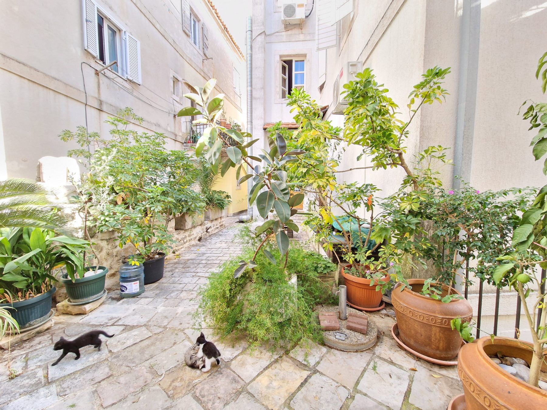 Jedinstvena ponuda,dvosoban stan površine 110m2 u  srcu Starog grada u Budvi. - Amfora Real Estate