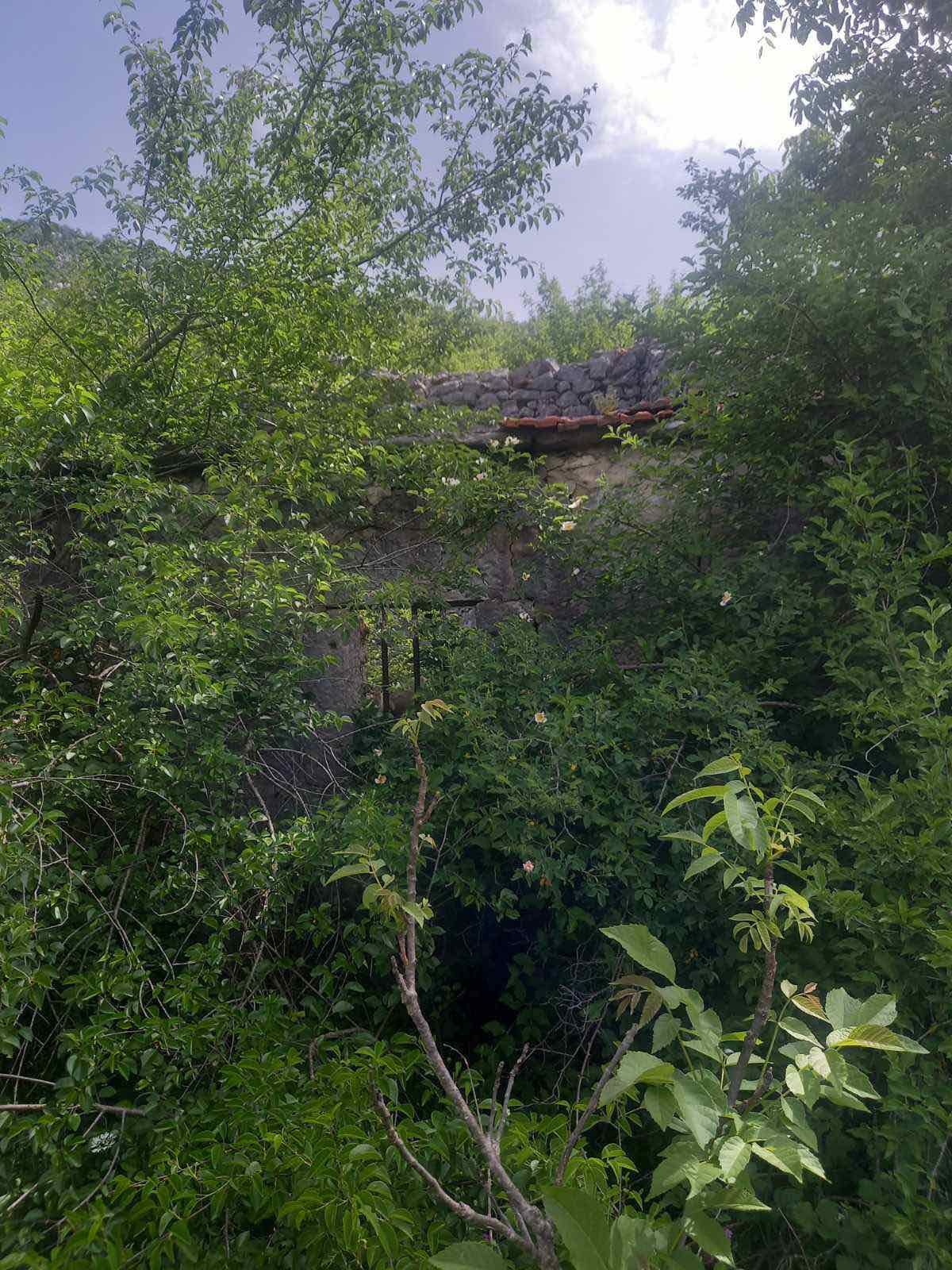 Neurbanizovano zemljiste površine 23.377m2 u mestu Dragalj,opština Kotor. - Amfora Real Estate